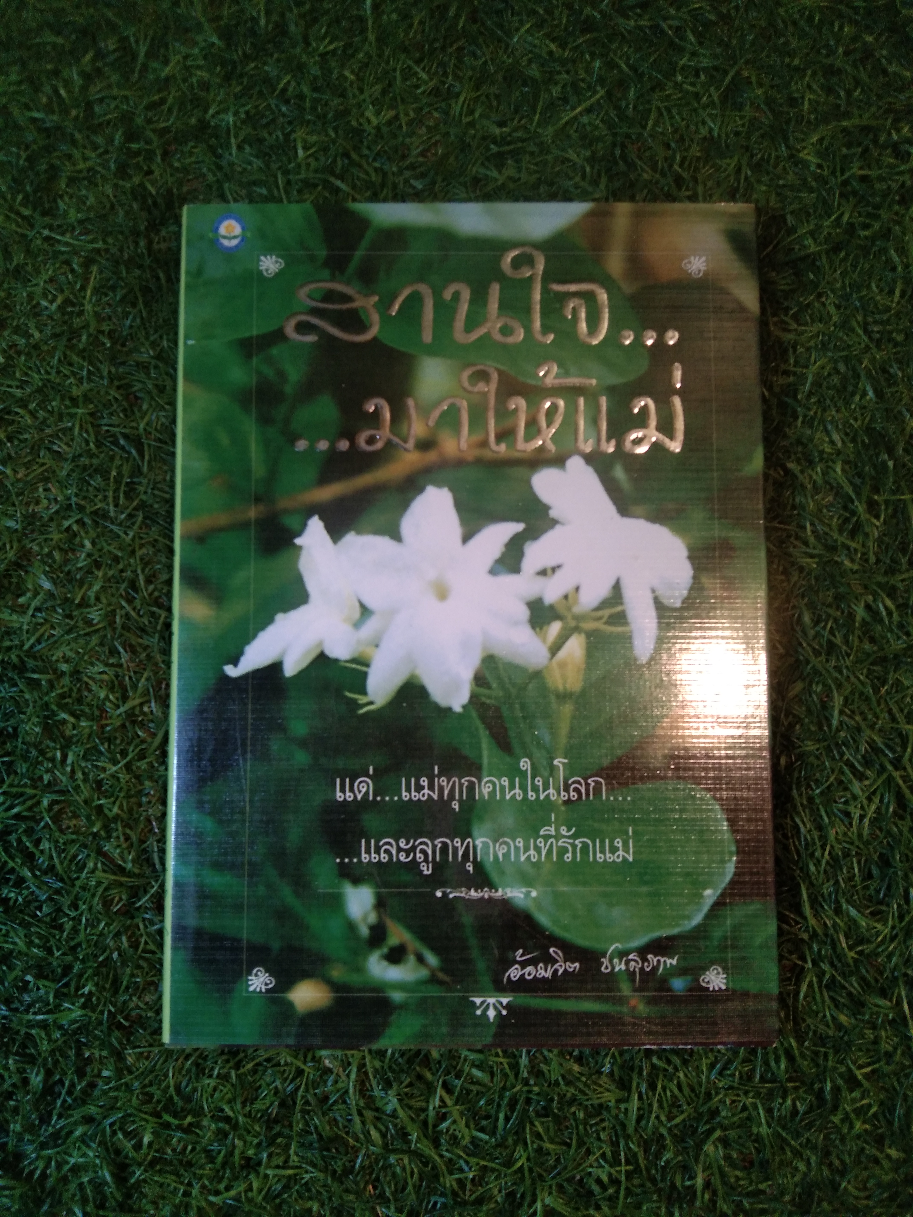 สานใจ... ...มาให้เเม่ / อ้อมจิต ชนสุภาพ