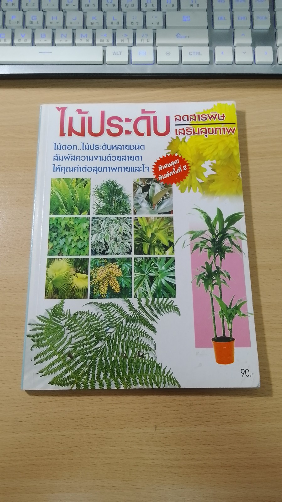 ไม้ประดับ ลดสารพิษ เสริมสุขภาพ