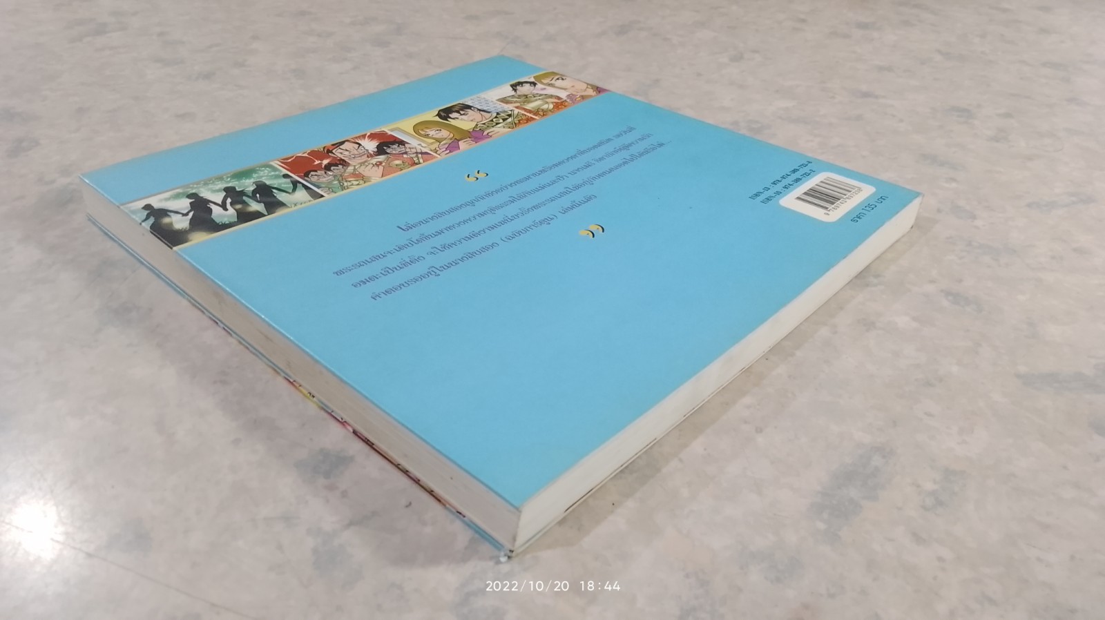 นางสิบสอง (ฉบับการ์ตูน)