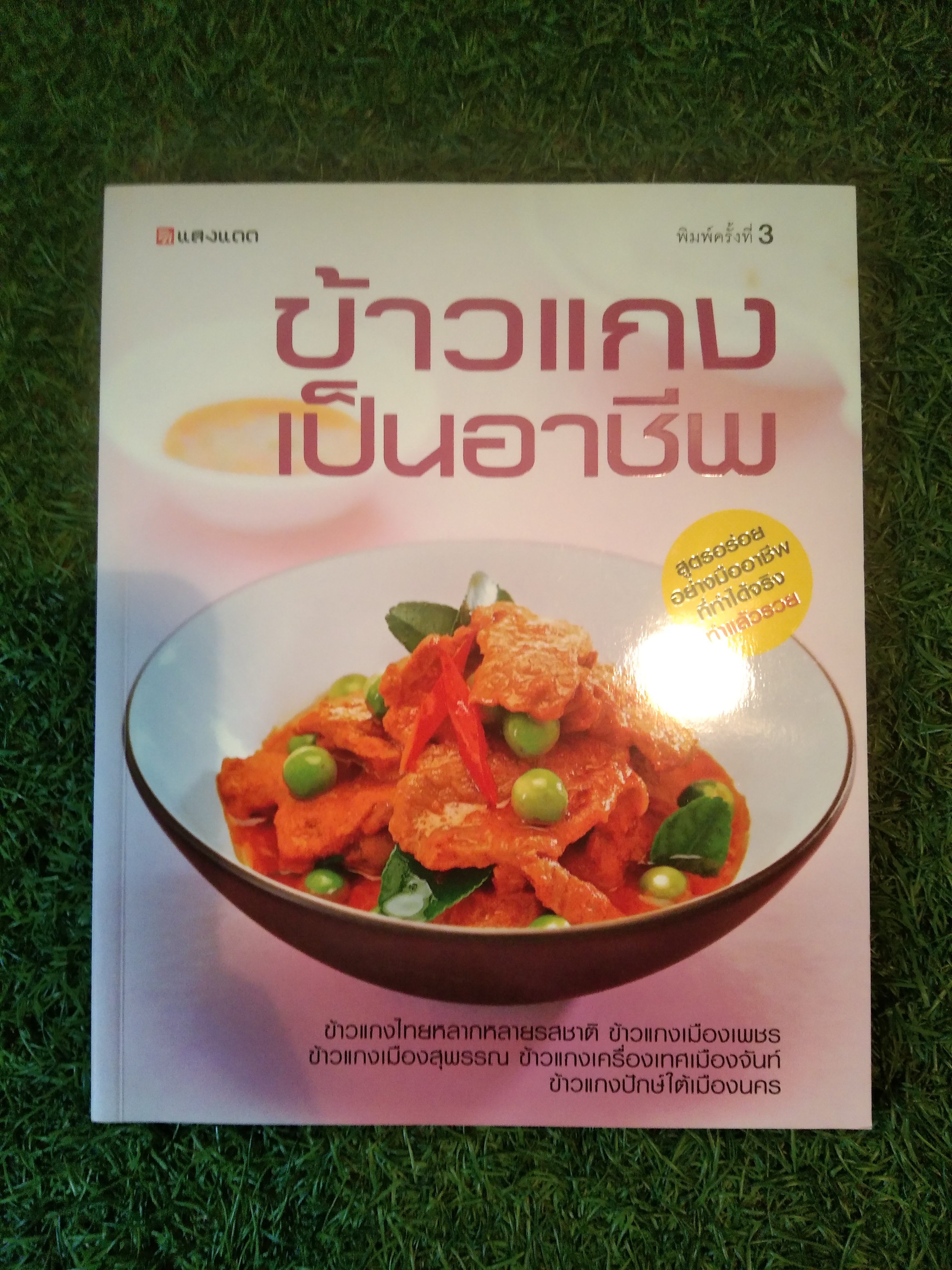 ข้าวแกงเป็นอาชีพ / แสงแดด