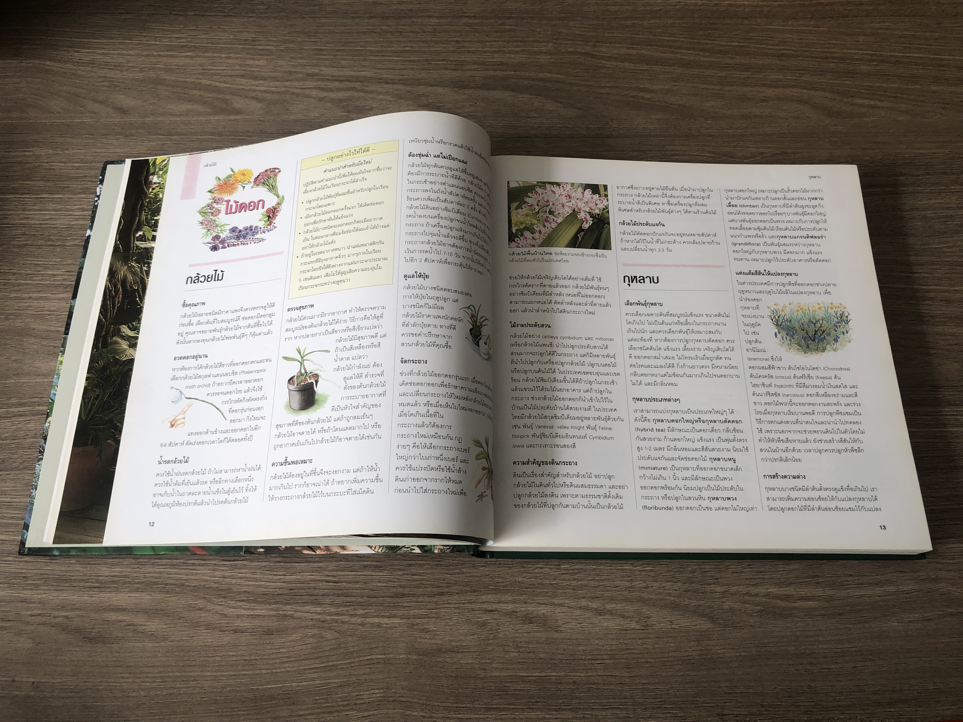 รีดเดอร์ส ไดเจสท์ : เคล็ดลับดูแลสวน