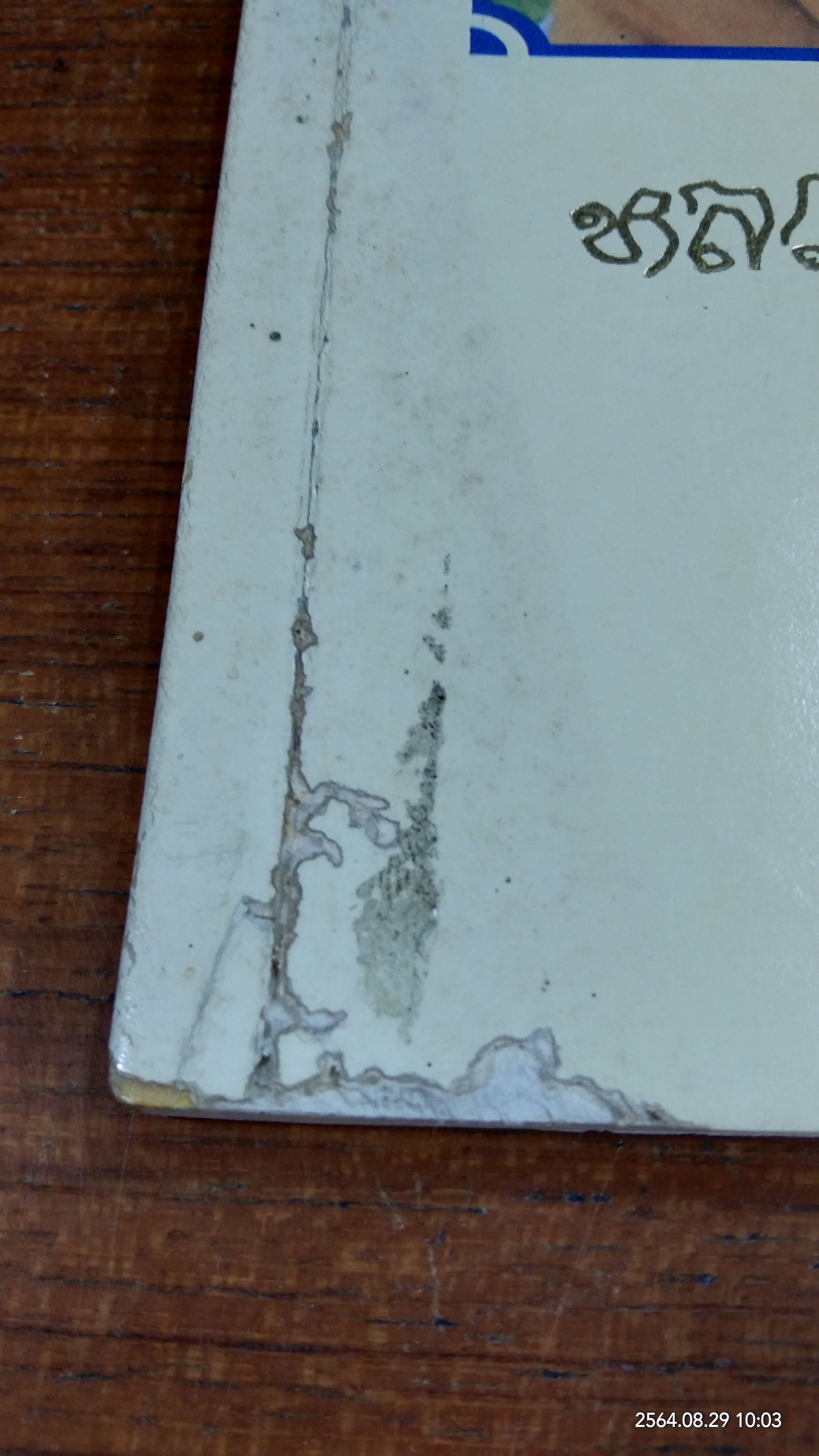 ๙๑ ปี หลวงปู่สาม อกิญจโน วัดป่าไตรวิเวก