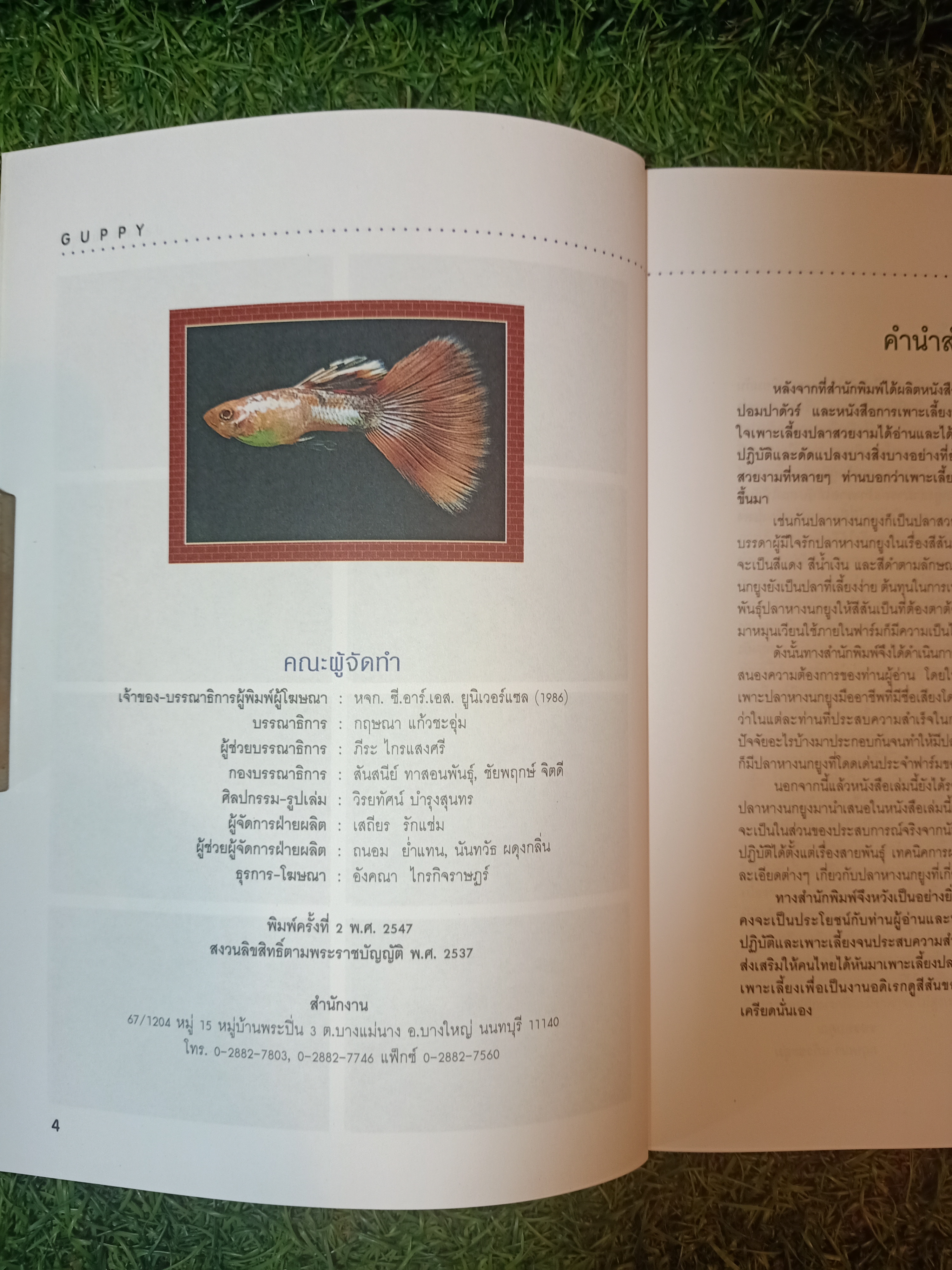 สายพันธุืและการเพาะเลี้ยง ปลาหางนกยูง GUPPY / กฤษณา แก้วชะอุ่ม ภีระ ไกรแสงศรี