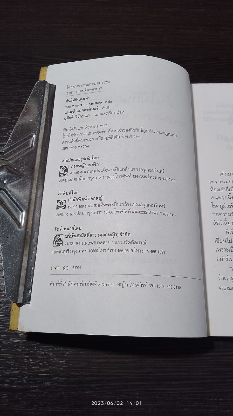 ต้นไม้กินถุงเท้า / แนนซี แมกอาร์เทอร์