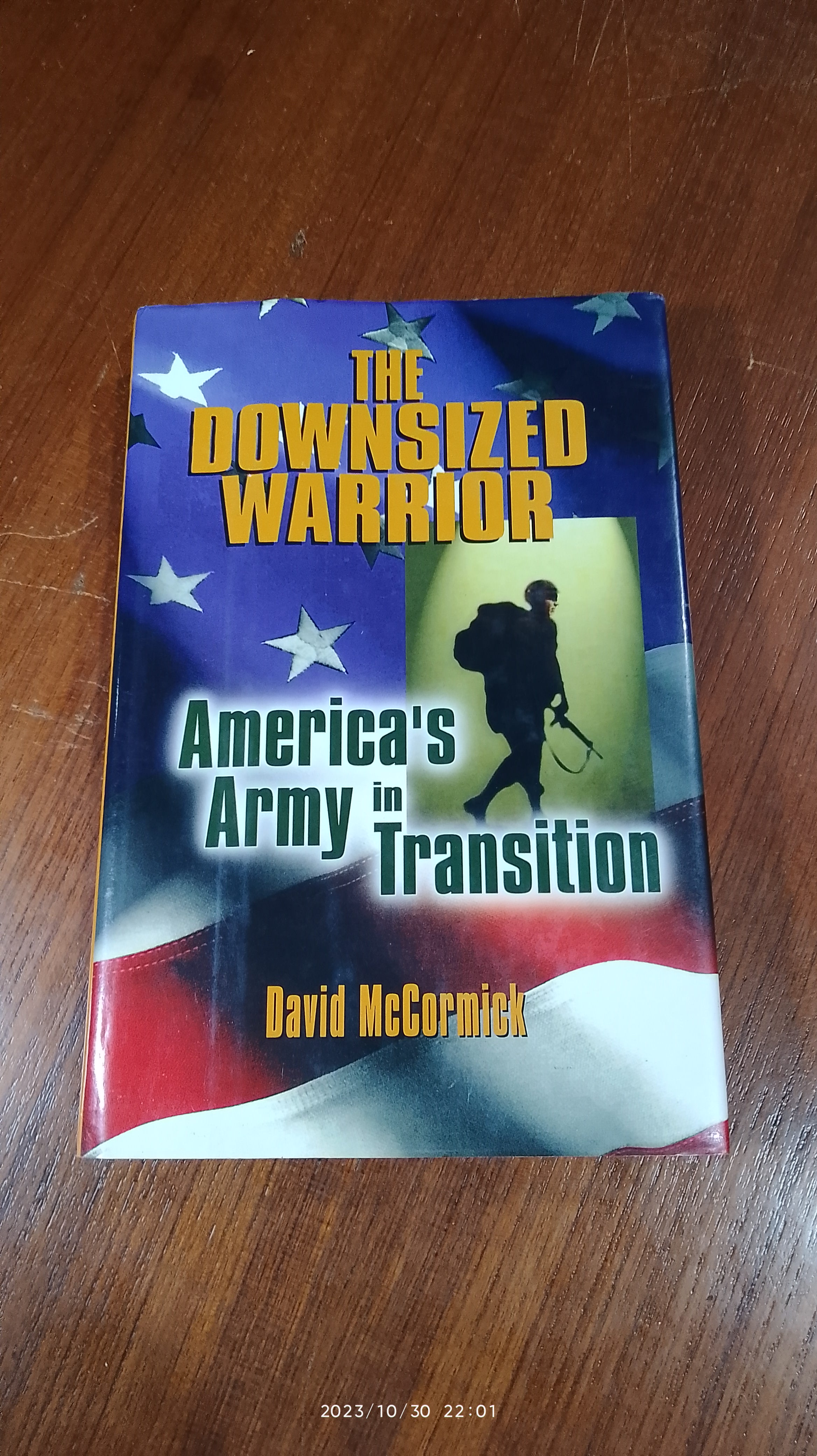 THE DOWNSIZED WARRIOR / David H McCormick