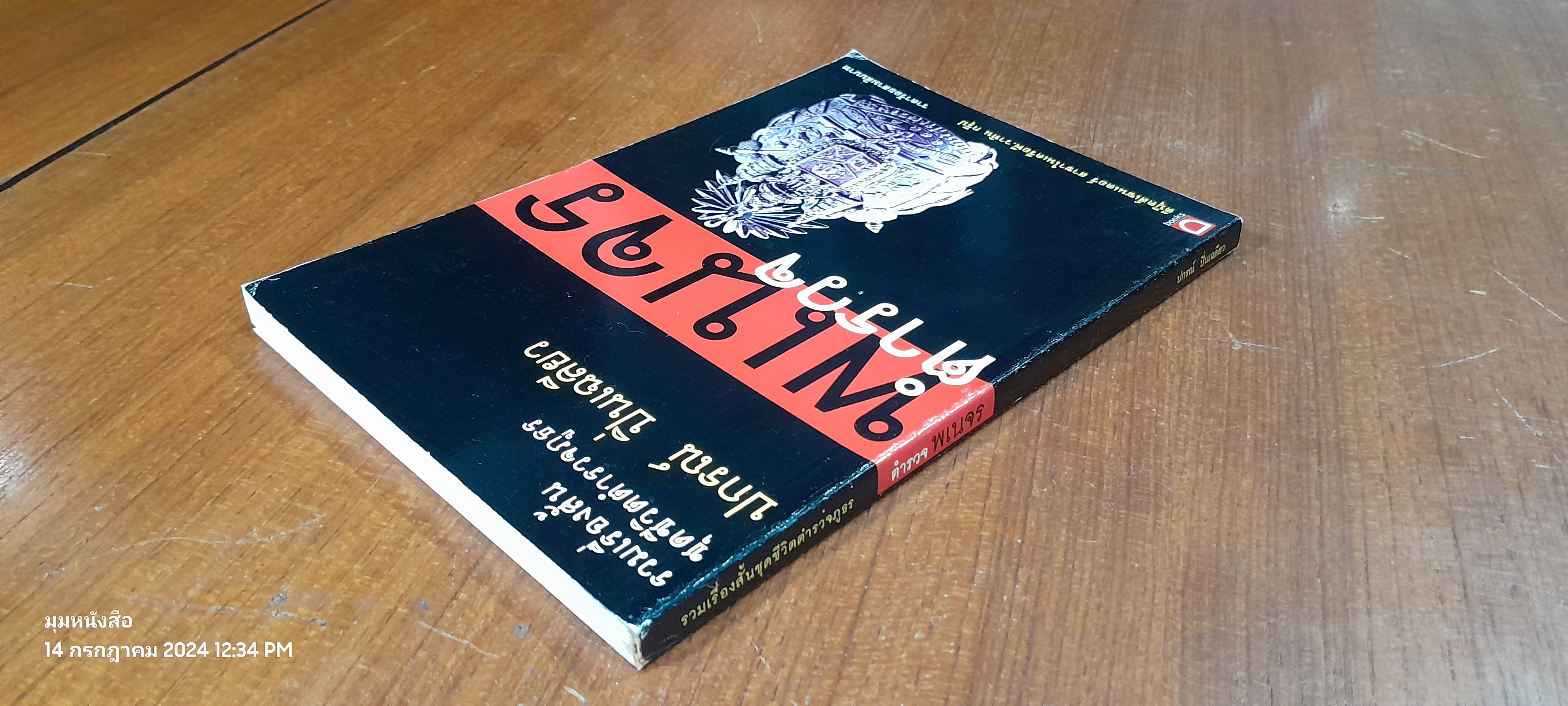 ตำรวจ พเนจร / ปกรณื ปิ่นเฉลียว