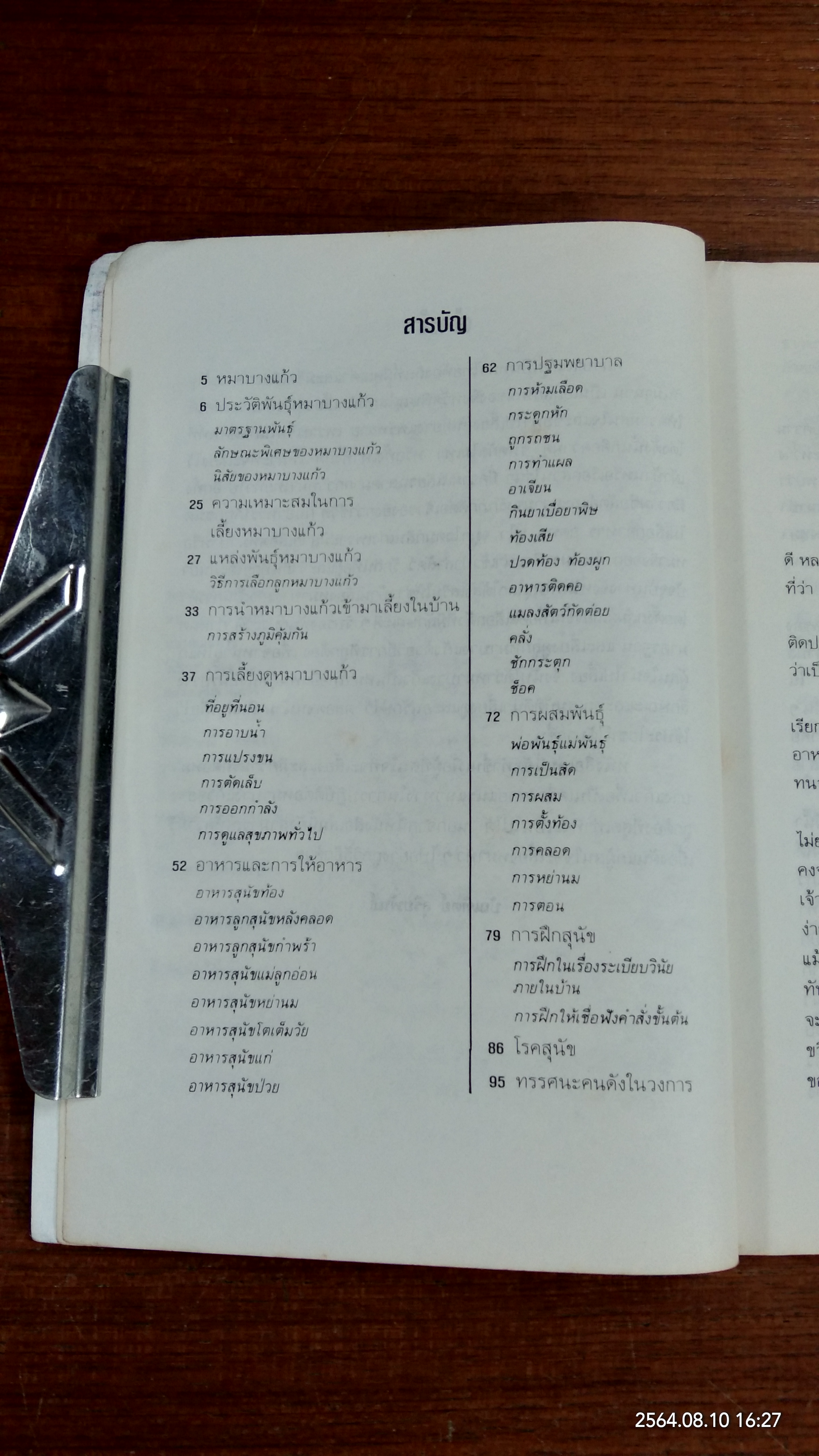 หมาบางแก้ว / บัณฑิตย์ สุริยพันธ์