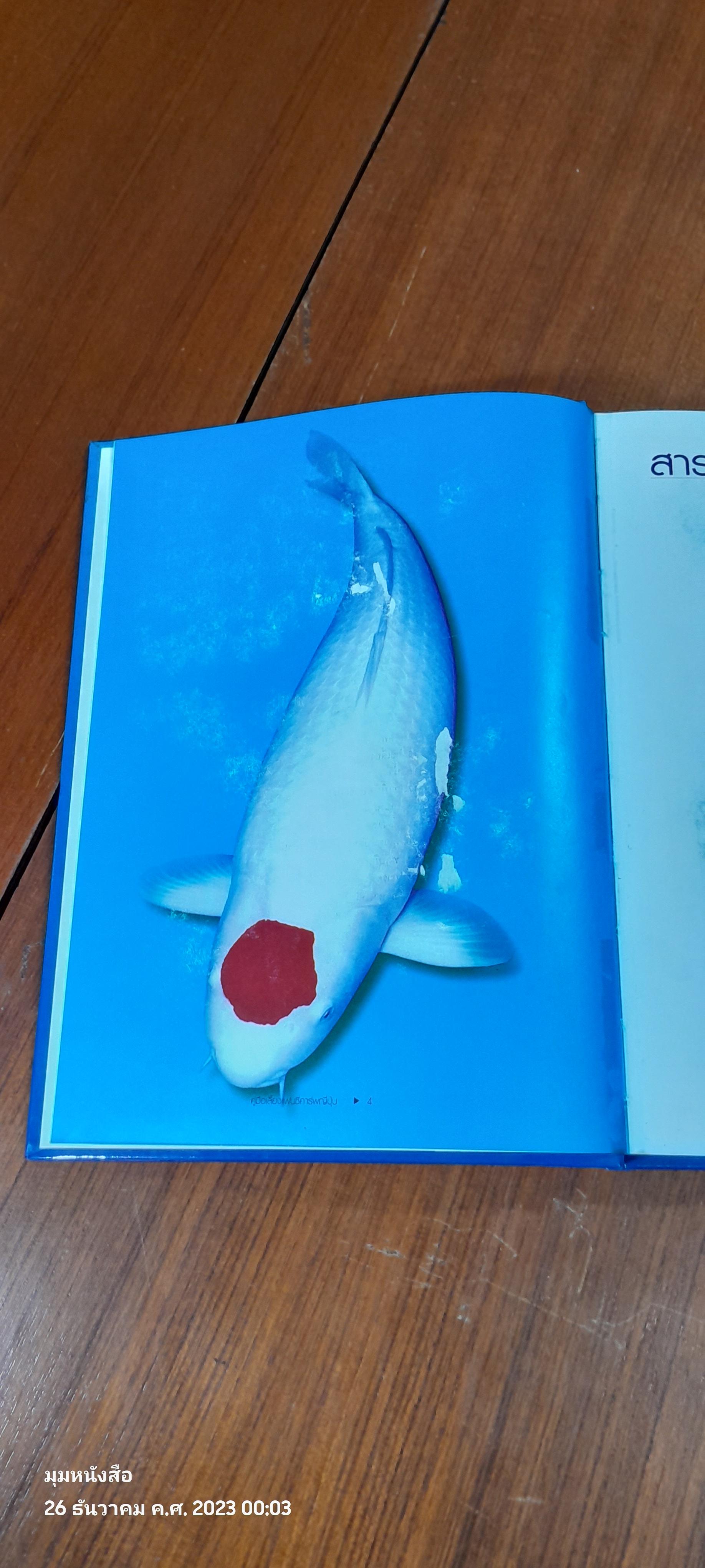 คู่มือเลี้ยงแฟนซีคาร์พญี่ปุ่น / ผิน คิ้วไพศาล