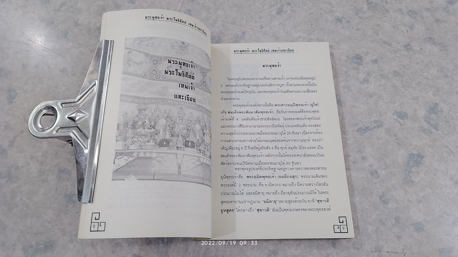 พระพุทธเจ้า พระโพธิสัตต์ เทพเจ้าและเซียน / ตั่วเสียวเจี้ย