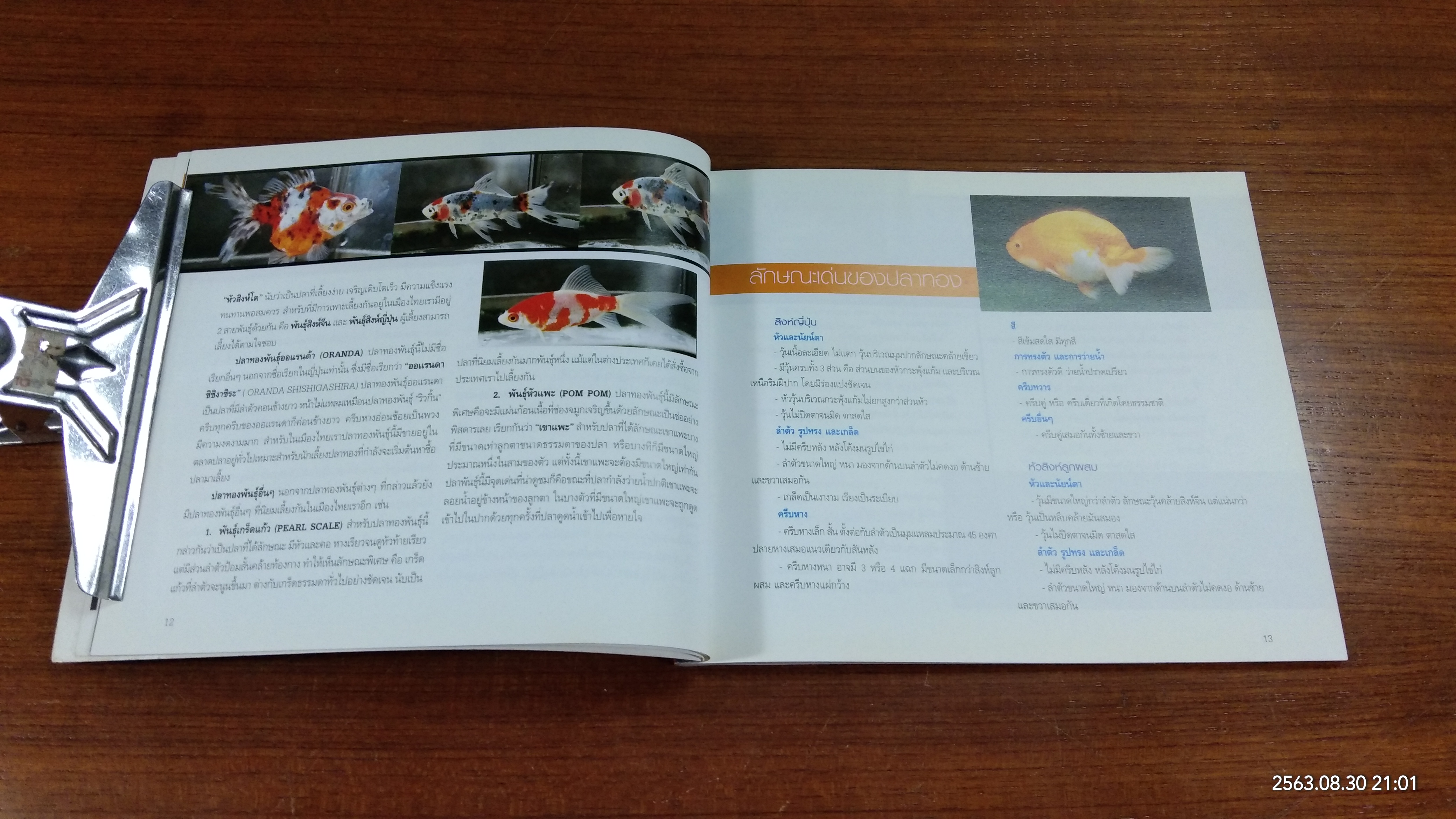 คู่มือพาะเลี้ยงปลาทอง / ธนากร ฤทธิ์ไธสง