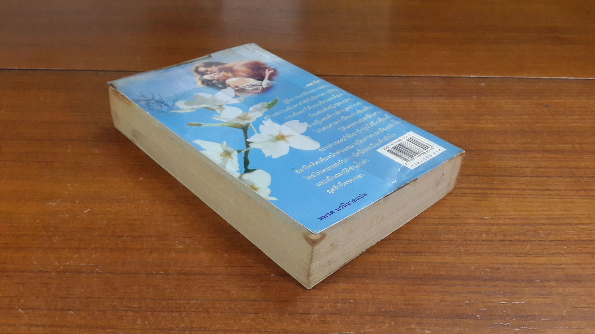 รักข้ามขอบฟ้า / ภาณิตา แปล