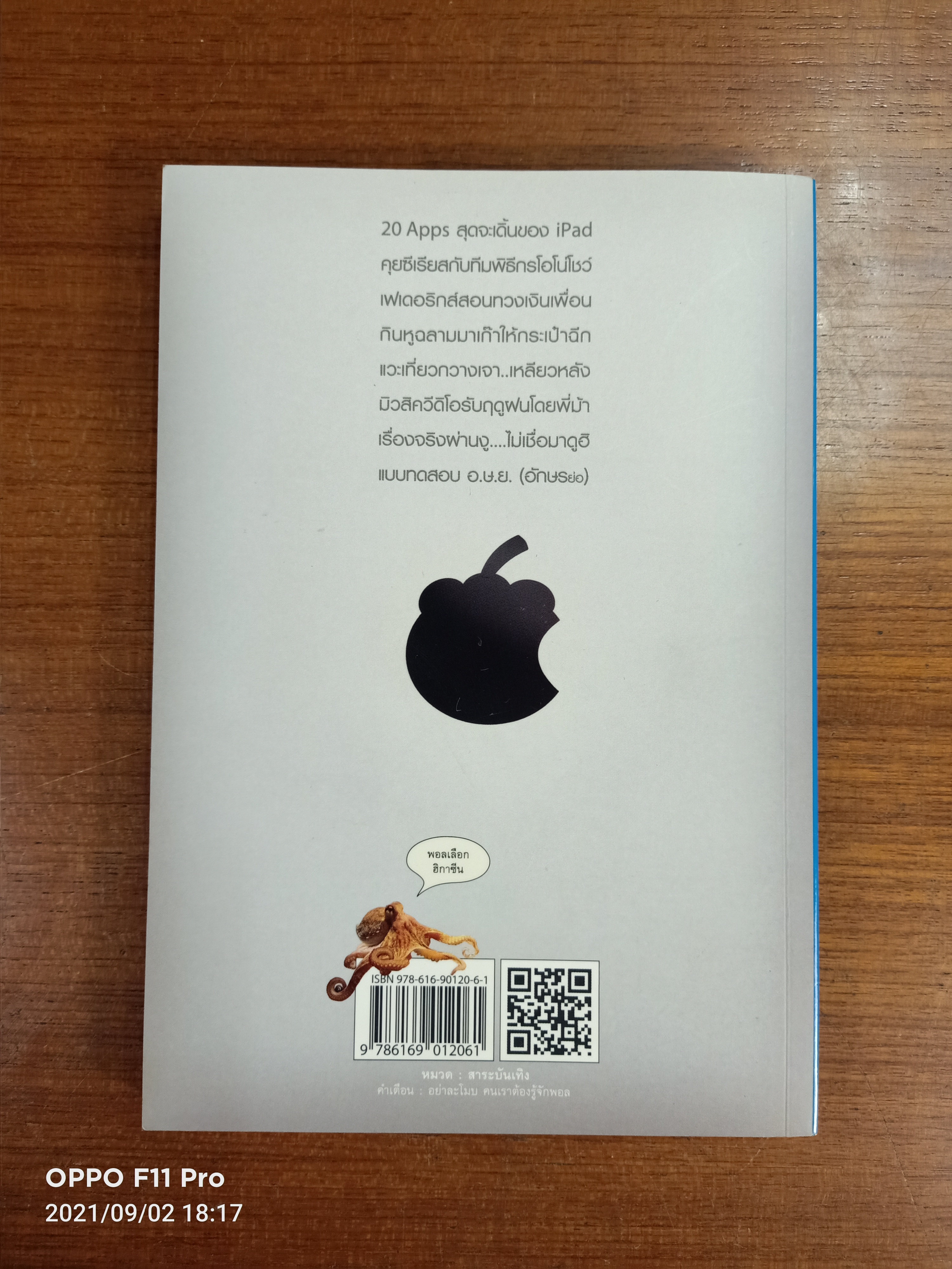 ฮิกาซีน iPad stuPad / มังกรกินหมู