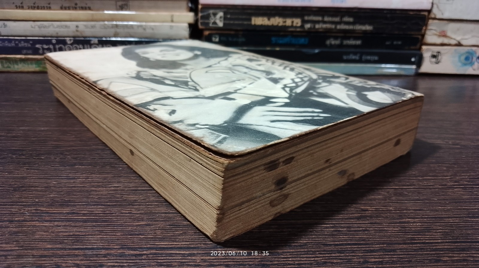 พลังรัก / จ๊าคเกอลิน ซูซานน์