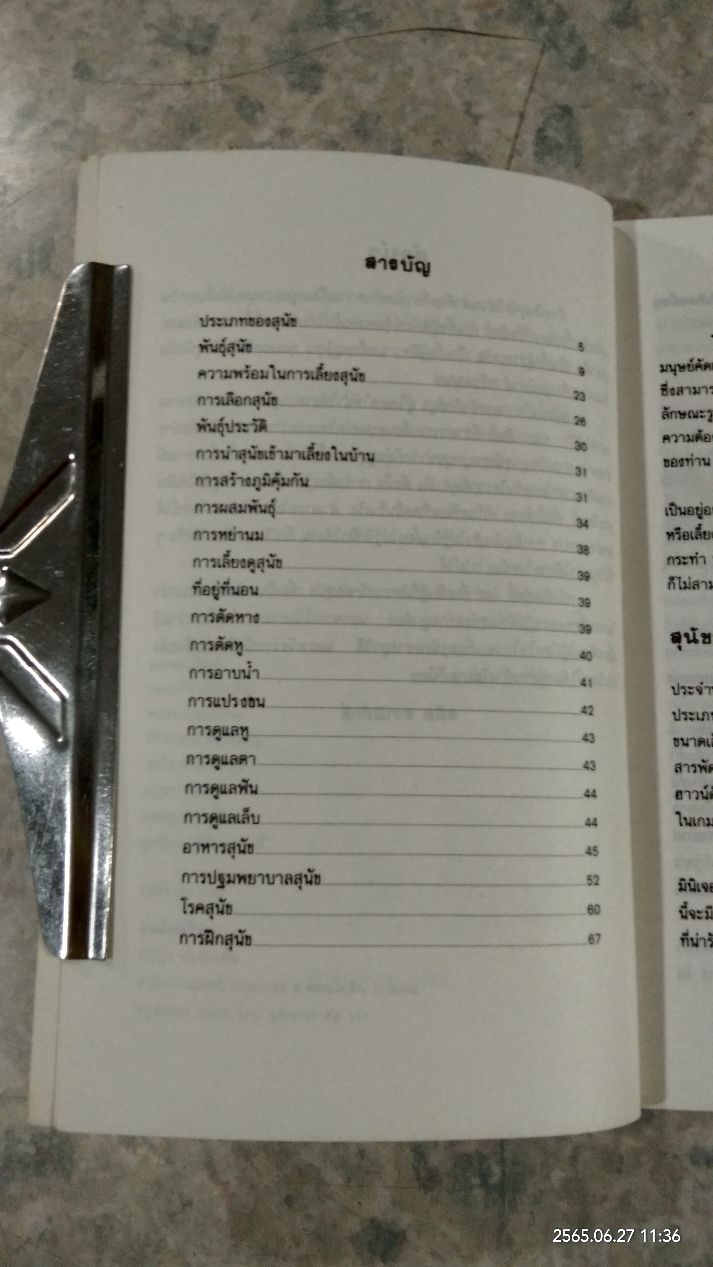 การเลี้ยงสุนัข / สมิต สวามิภักดิ์