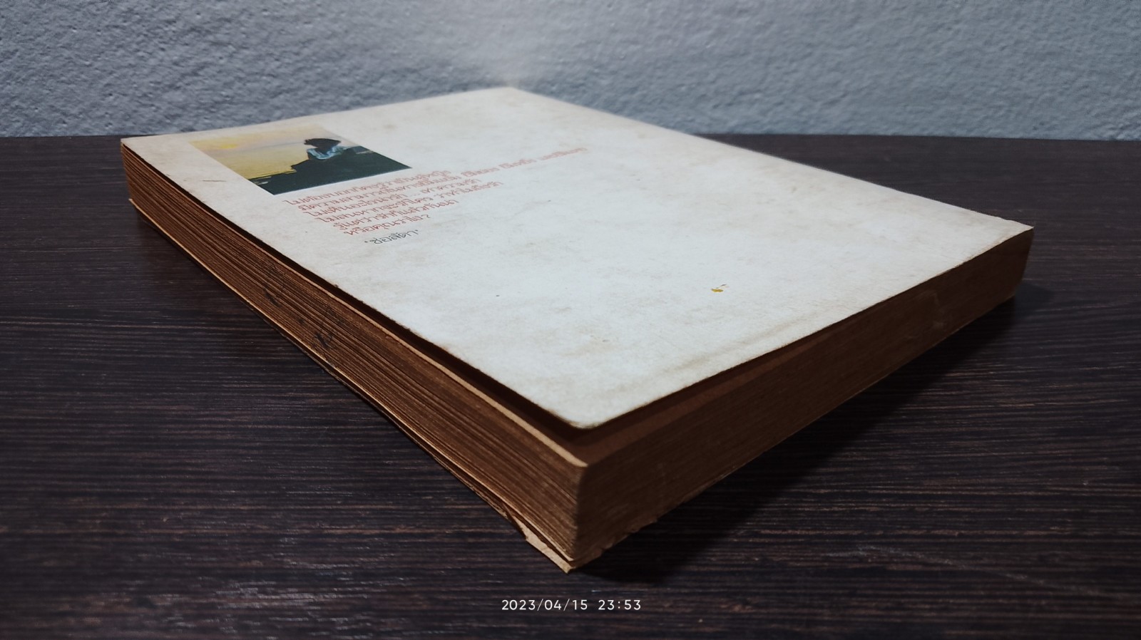 ทะเลน้ำตาล / ช่อลัตา