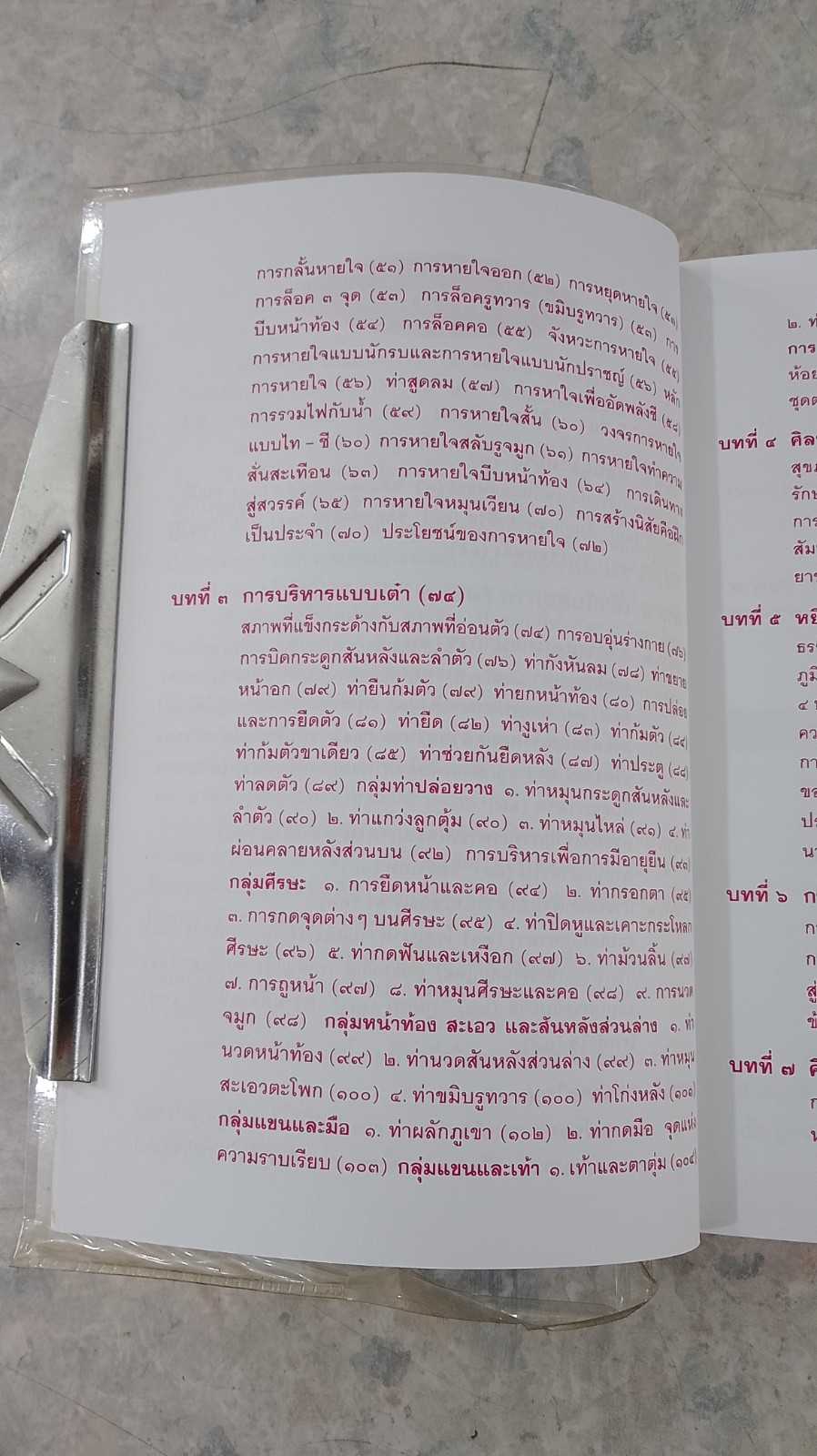 คู่มือข้างหมอน 6 เต๋าเตะปี๊ป / เดเนียล เรด