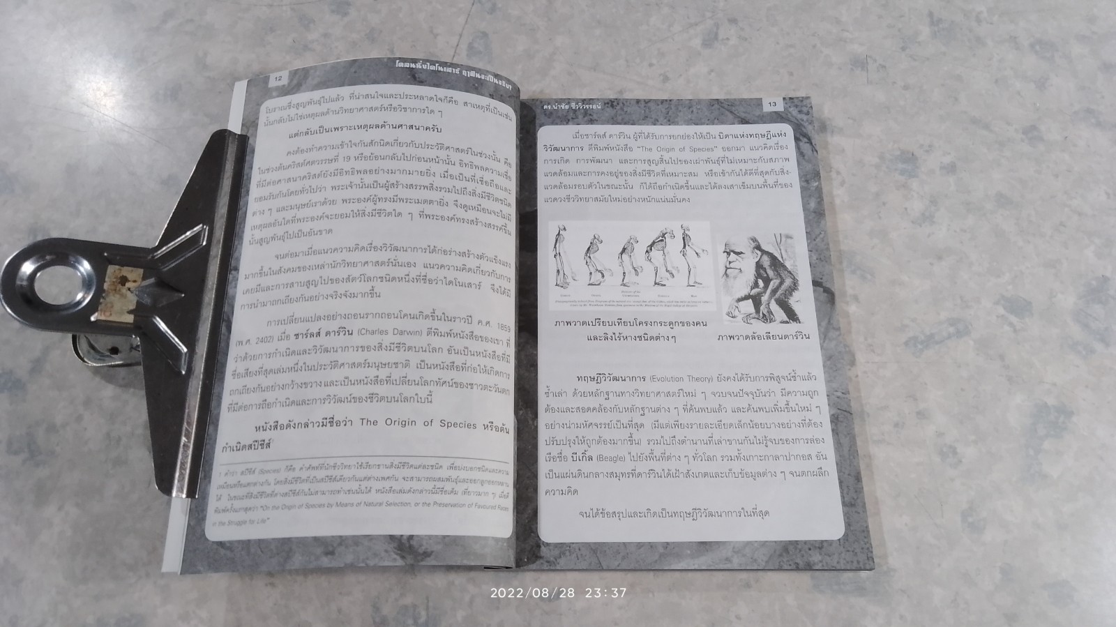 โคลนนิ่งไดโนเสาร์ ฤาฝันจะเป็นจริง? / ดร.นำชัย ชีววิวรรธน์