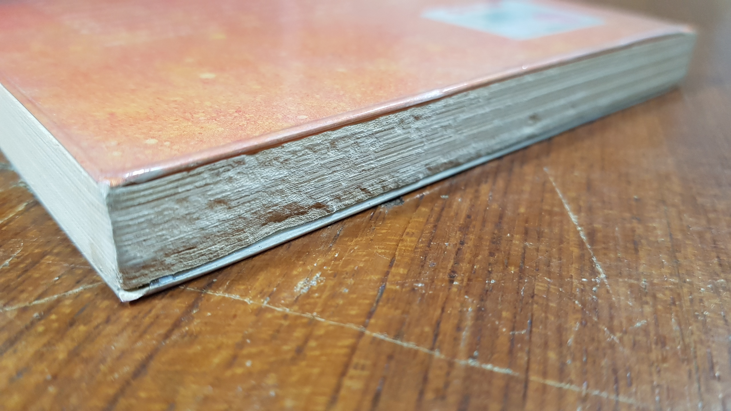 ขบวนการหมาจุด / โดดี้ สมิธ (สภาพไม่สมบูรณ์)