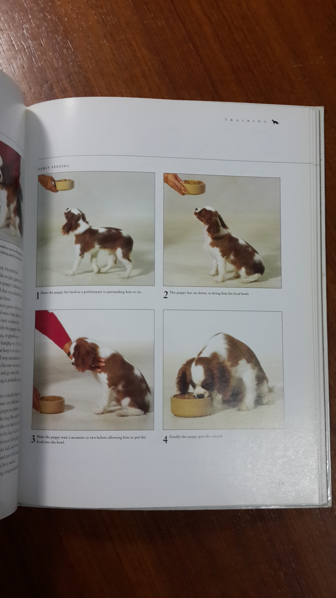 THE COMPLETE GUIDE TO DOG CARE / DR PETER LARKIN