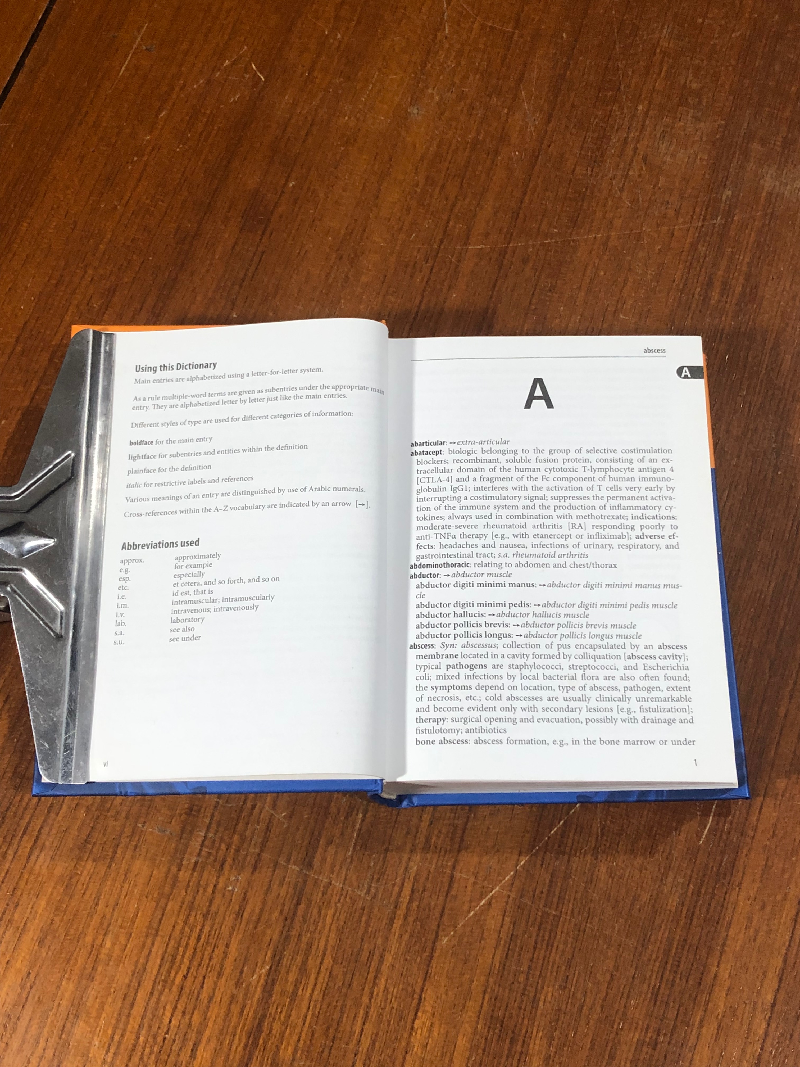 Springer Pocket Dictionary Orthopedics & Rheumatology