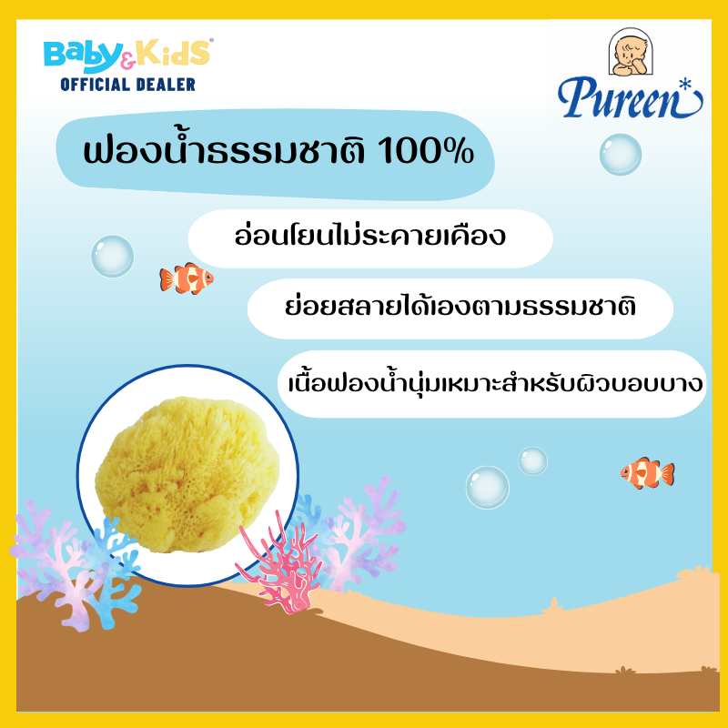 Pureen ฟองน้ำธรรมชาติอาบเด็ก ฟองน้ำธรรมชาติแท้ 100% size. L