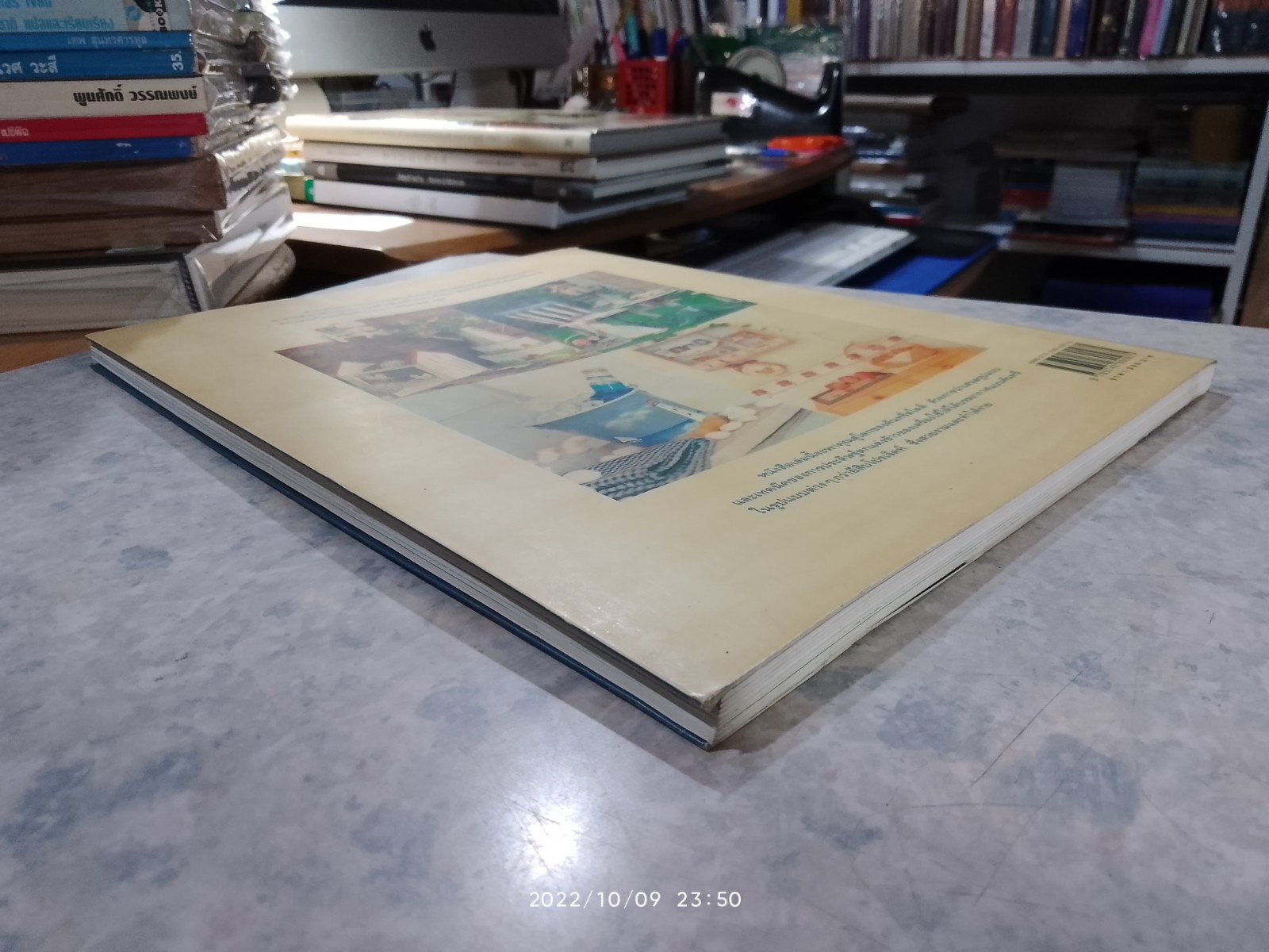 COUNTRY CRAFT PAINTING "วาดสีเล่นลายสไตล์คันทรี่" / กิติยา เสริมศักดิ์สกุล