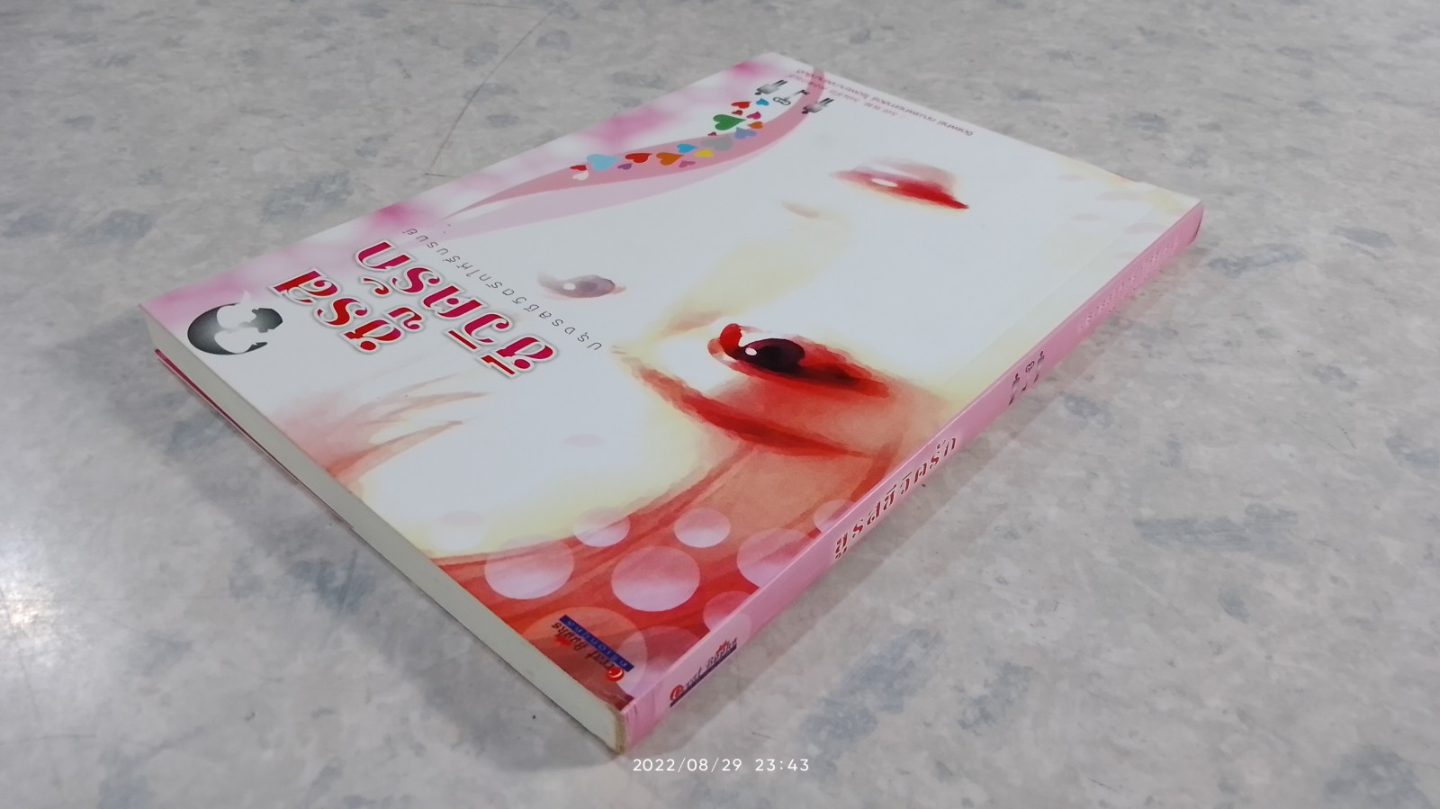 ชูรสชีวิตรัก / รศ.นพ.รณชัย คงสกนธ์