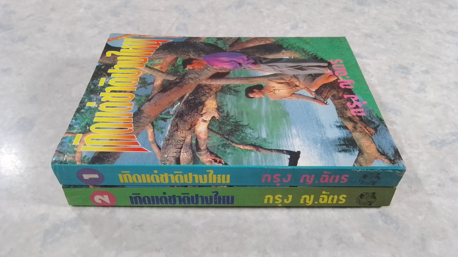 เกิดแต่ชาติปางไหน (2เล่มจบ) / กรุง ญ.ฉัตร