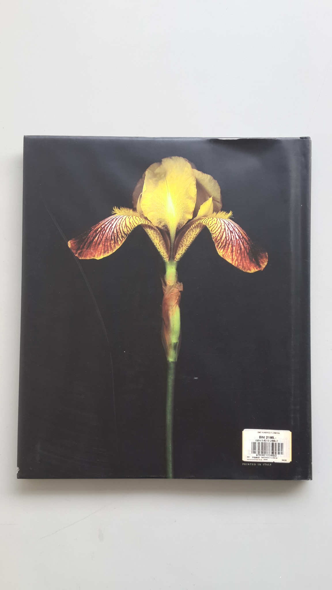 ONE HUNDRED FLOWERS / HAROLD FEINSTEIN