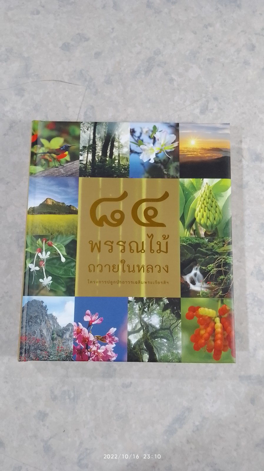 ๘๔ พรรณไม้ถวายในหลวง (ปกแข็ง)