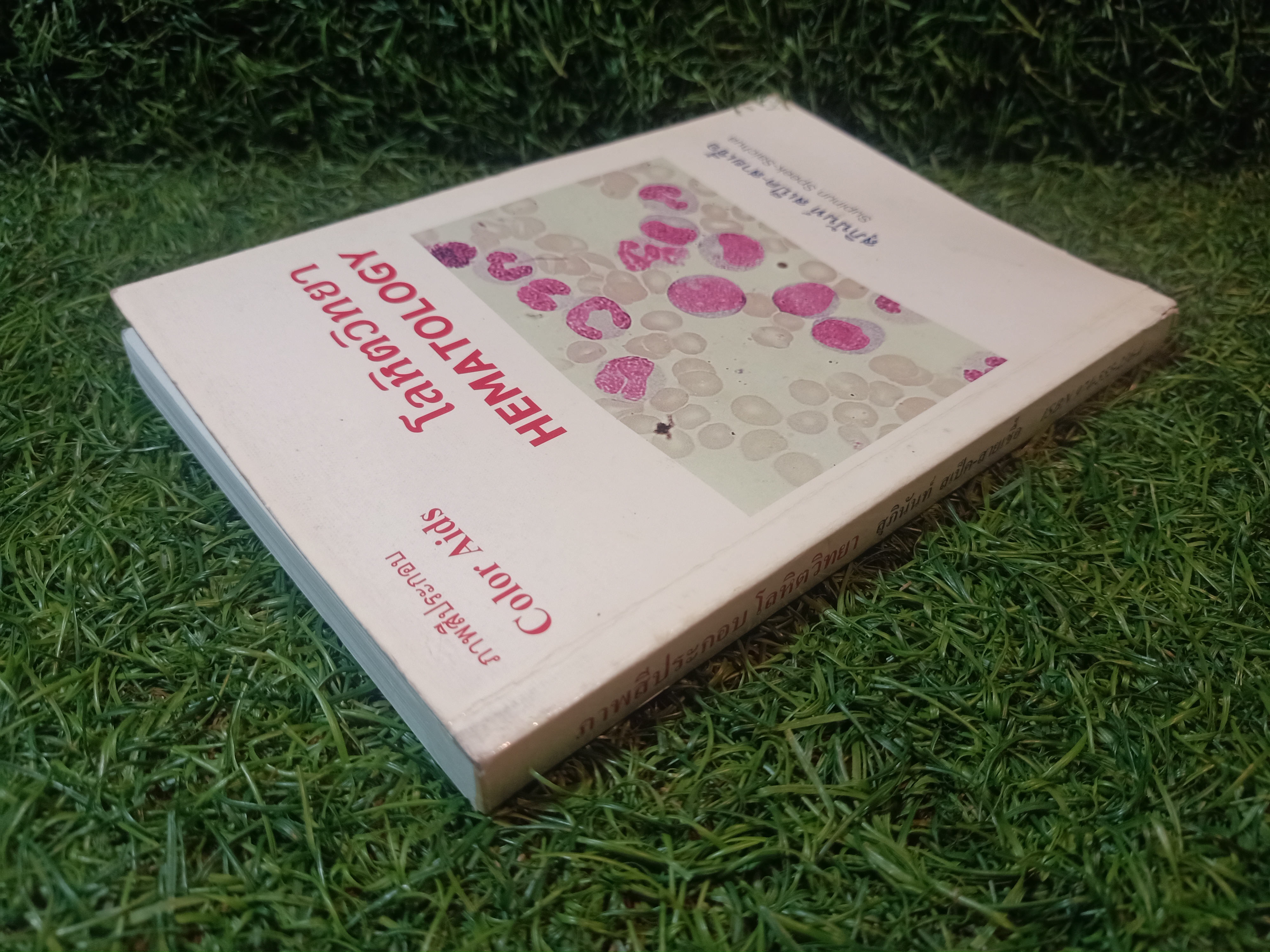 โลหิตวิทยา HEMATOLOGY (หนังสือมีรอยเขียนและรอยขีดเส้นใต้) / สุภินันท์ สเป็ค-สายเชื้อ