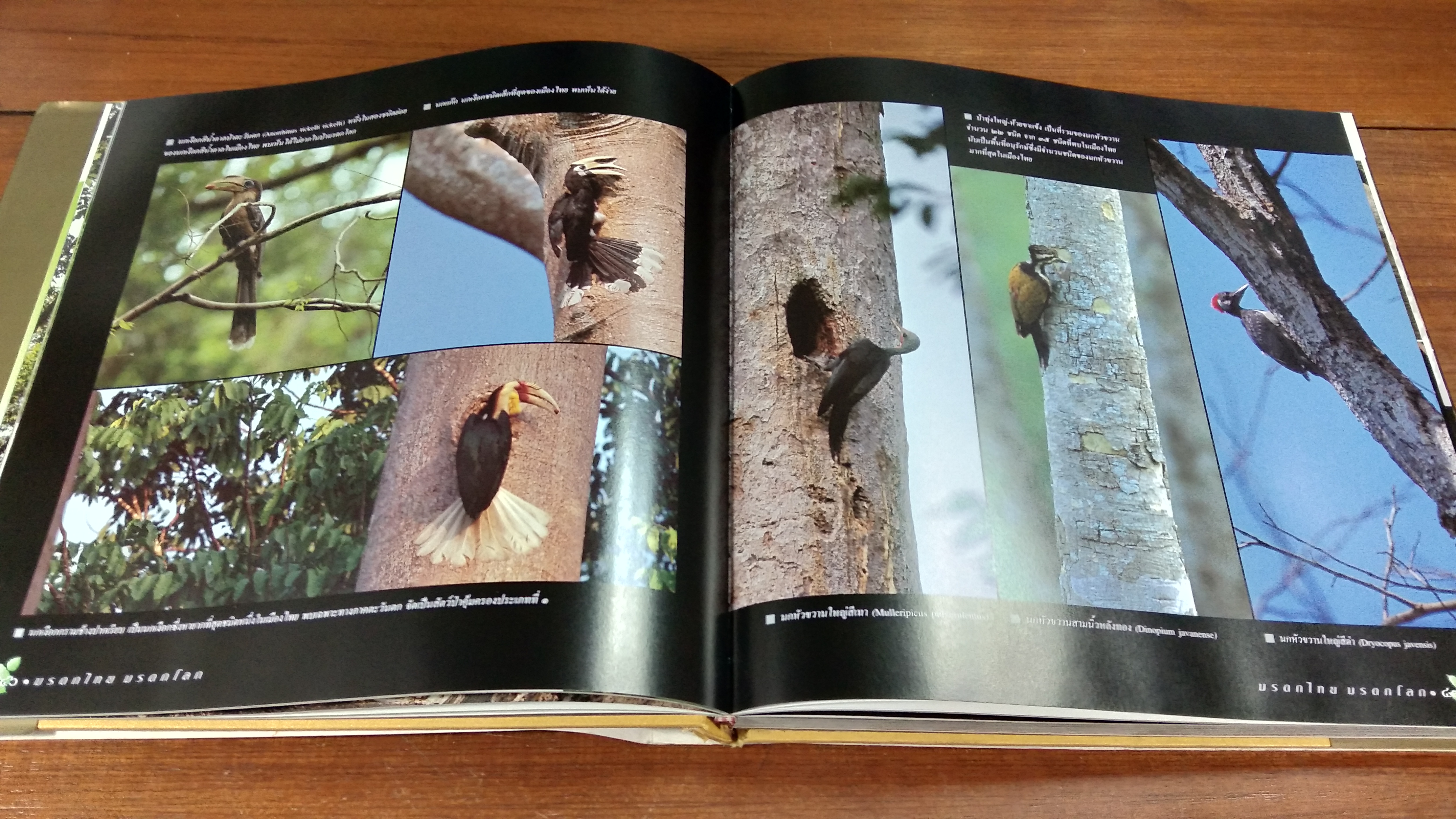 มรดกไทย มรดกโลก