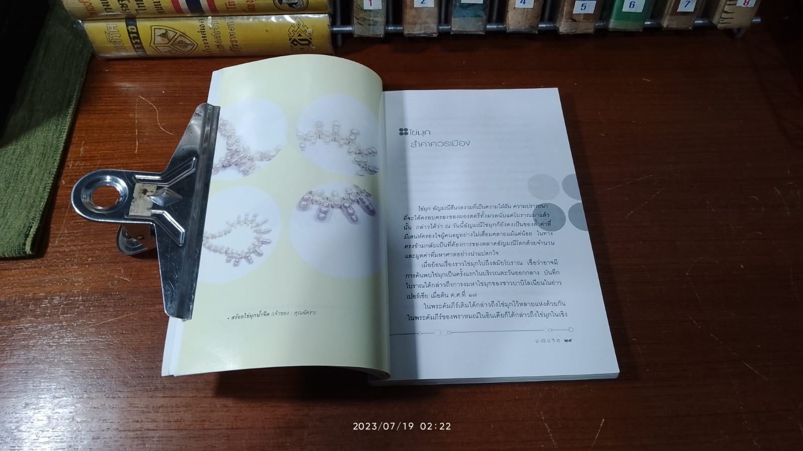 ไข่มุก ราชินีแห่งท้องทะเล / มณีขจิต