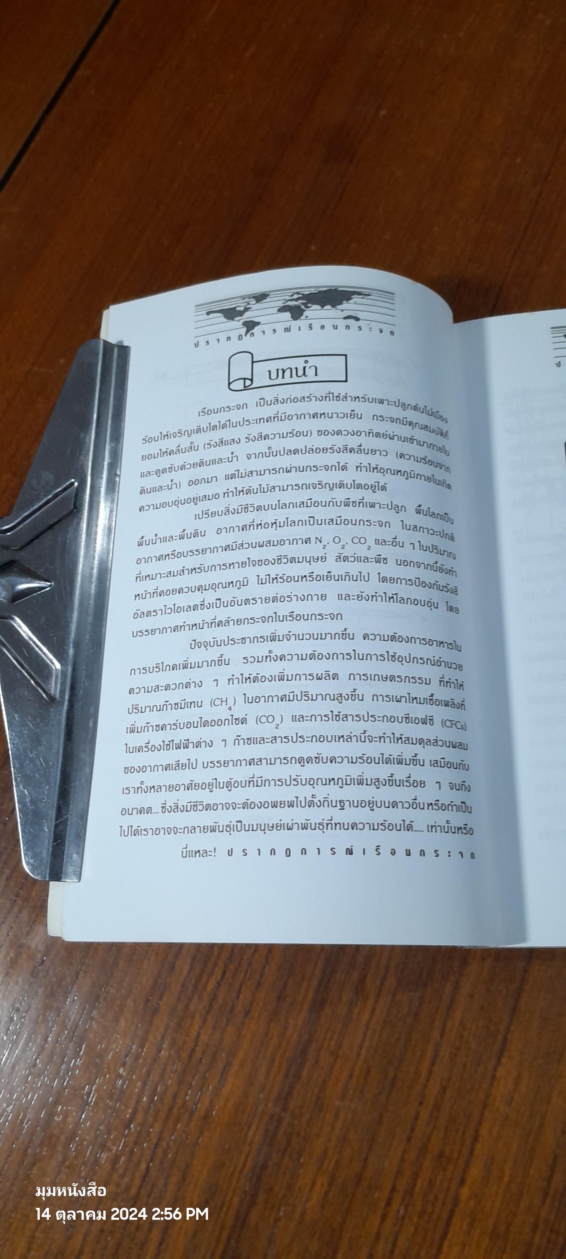 ปรากฏการณ์เรือนกระจก / นีรนัย