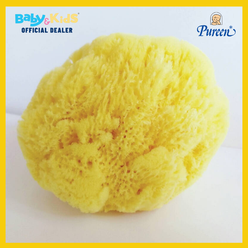 Pureen ฟองน้ำธรรมชาติอาบเด็ก ฟองน้ำธรรมชาติแท้ 100% size. L