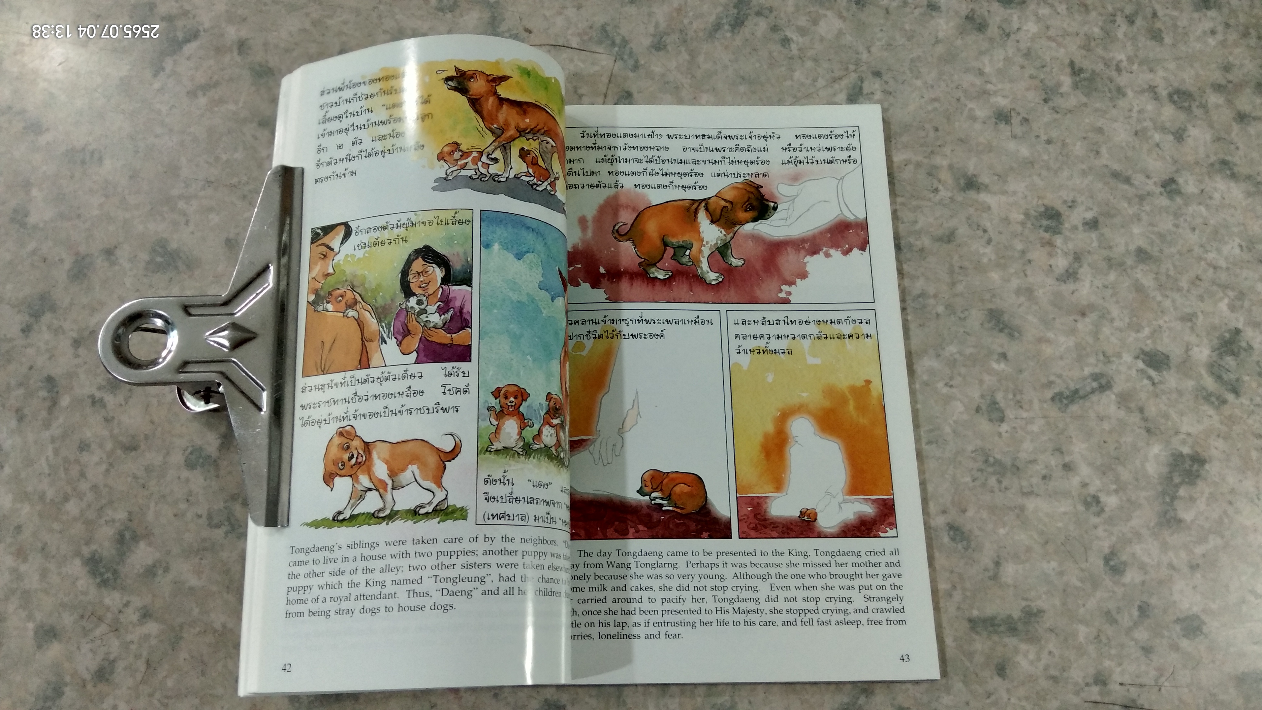 เรื่อง ทองแดง ฉบับการ์ตูน