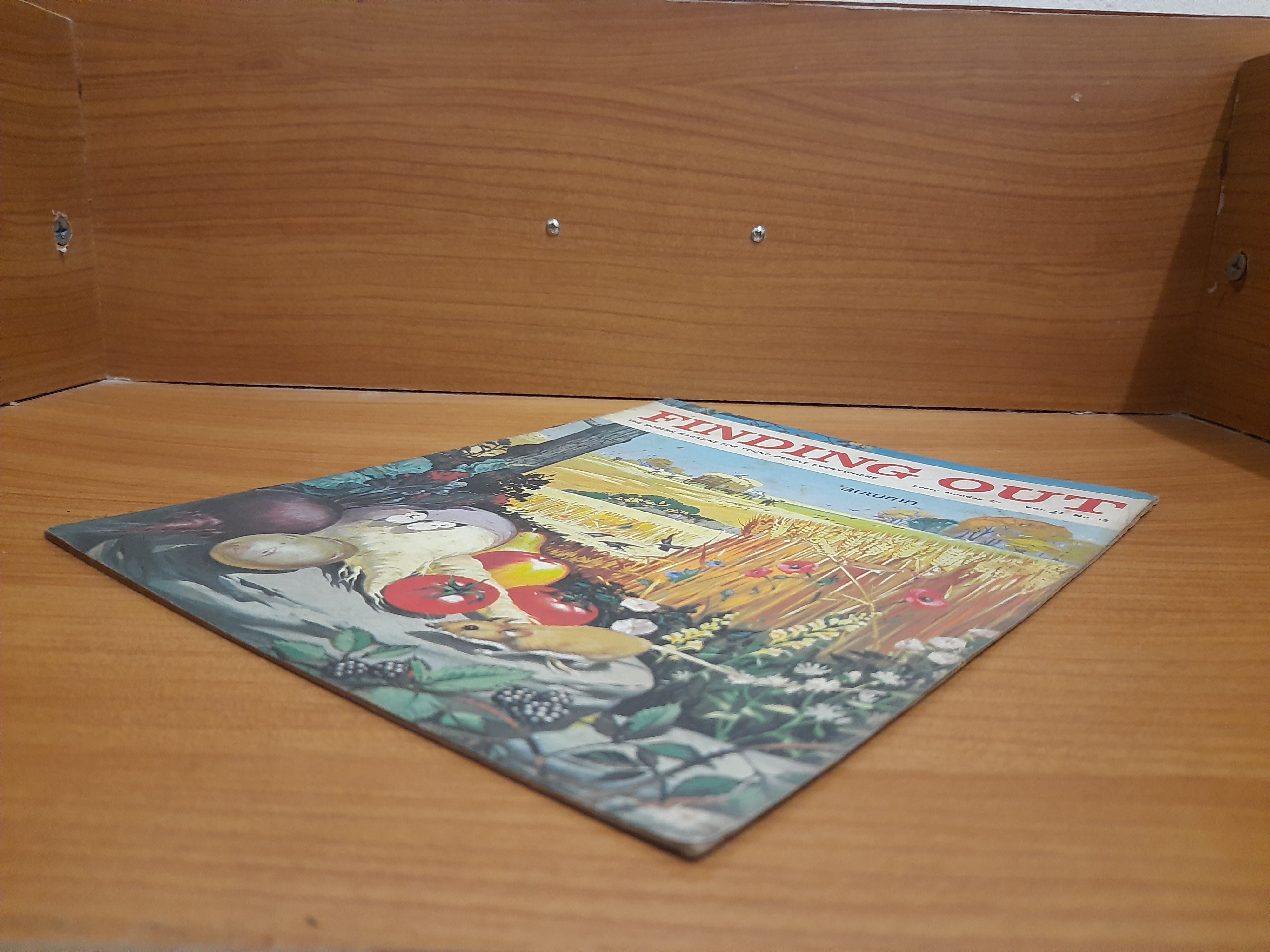 FINDING OUT Vol.13 No.12