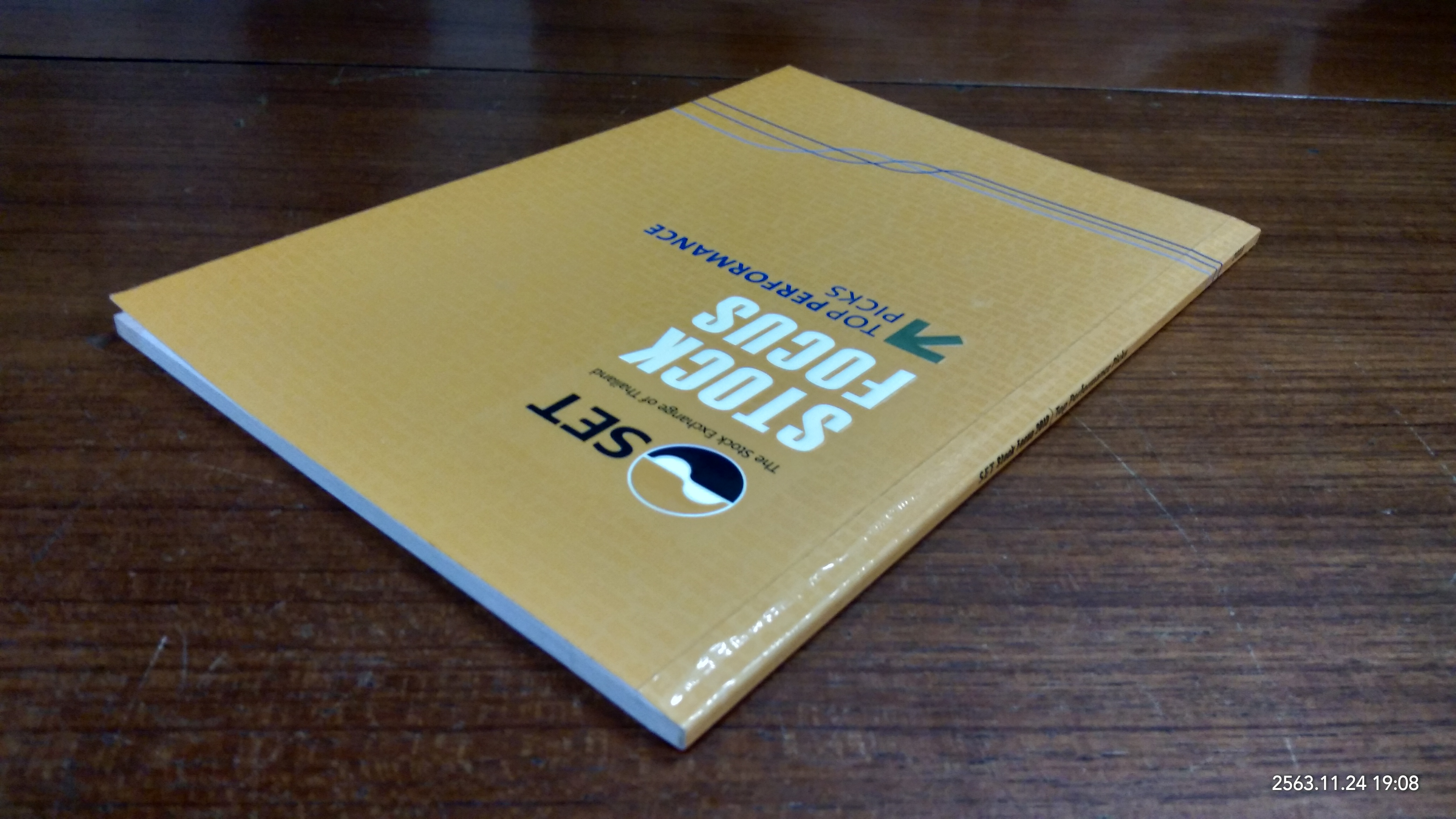 SEF Stock Focus 2013