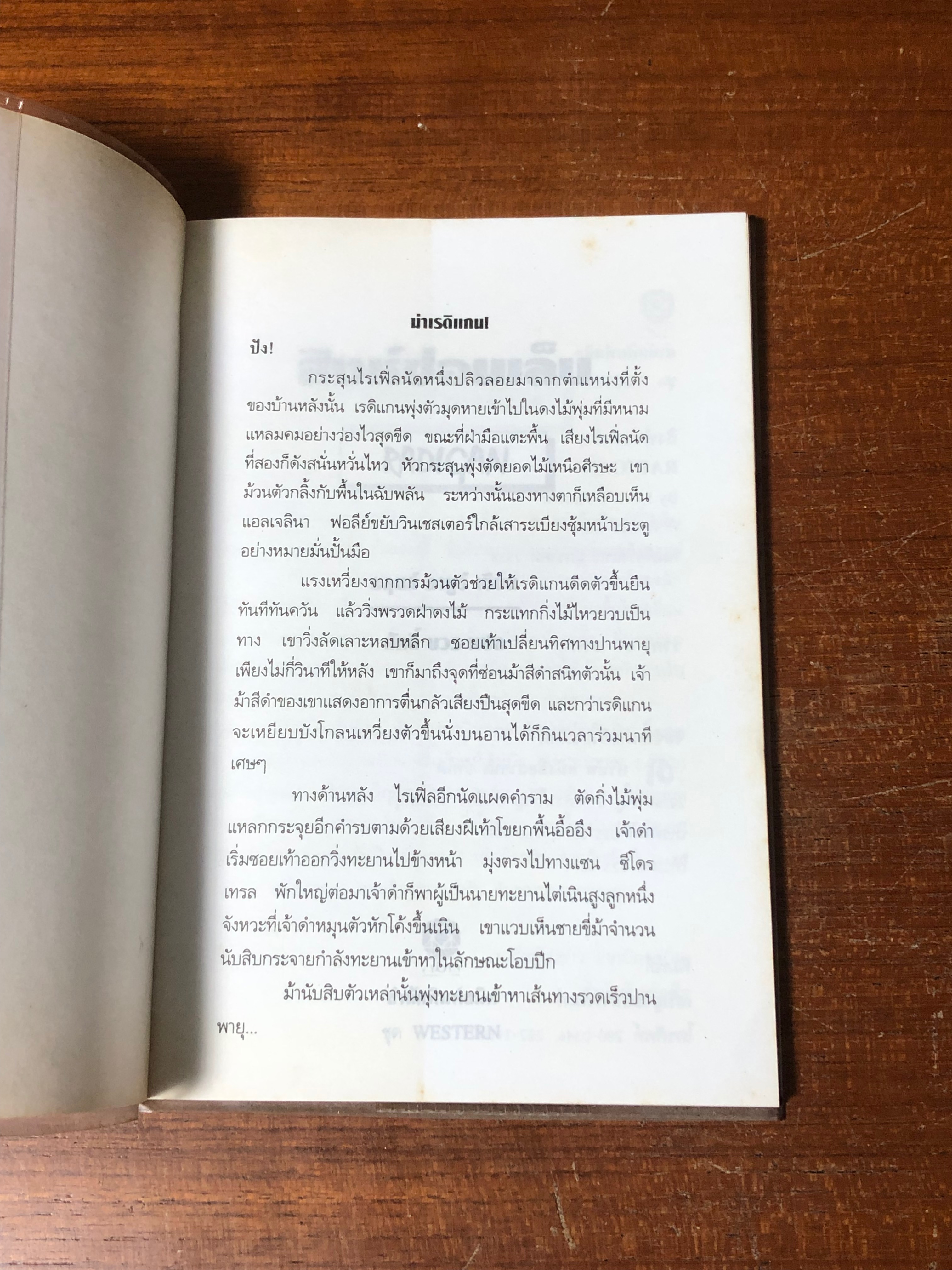 สิงห์ซ่อนเล็บ / หลุยส์ ลามูร์