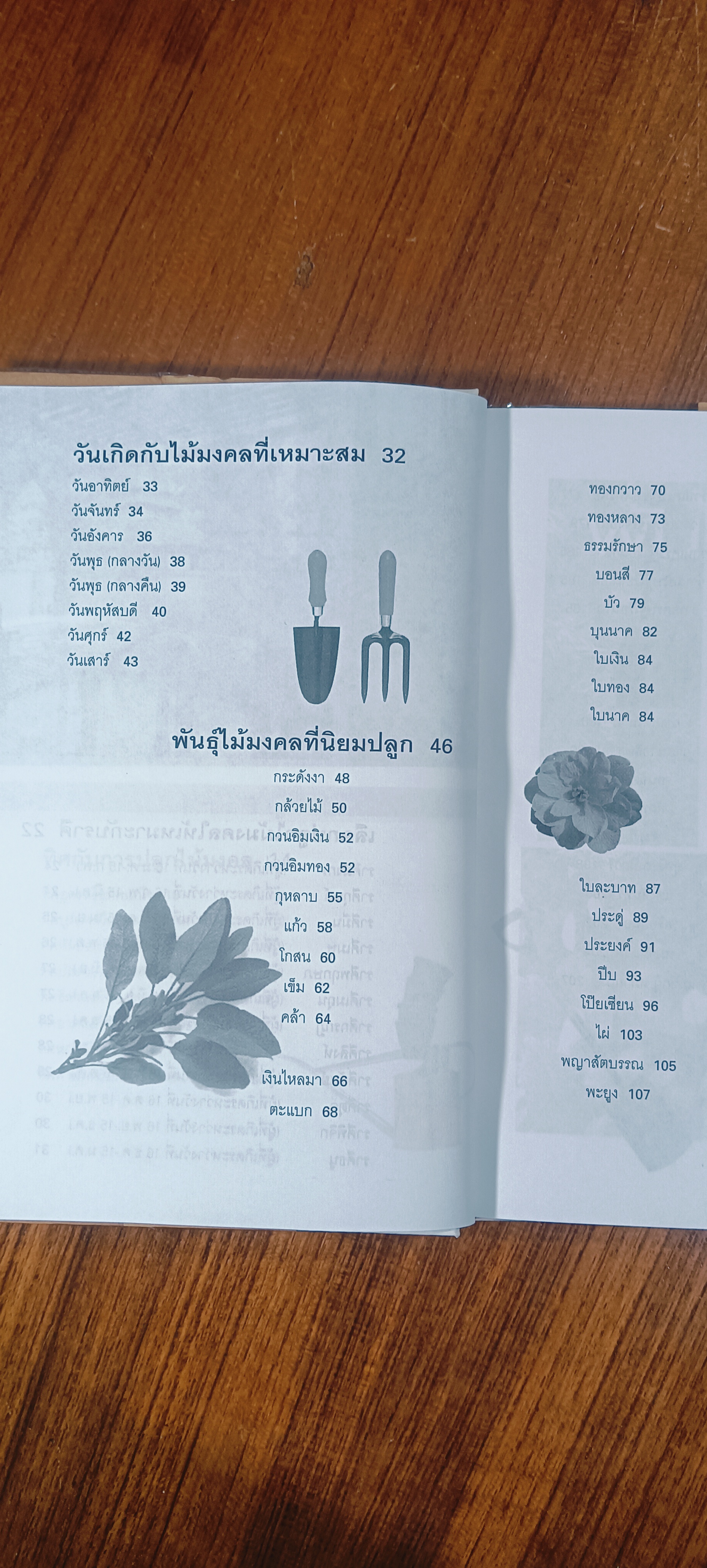 พันธุ์ไม้แห่งโชคลาภ วาสนา บารมี / เจตน์ จิระกูล