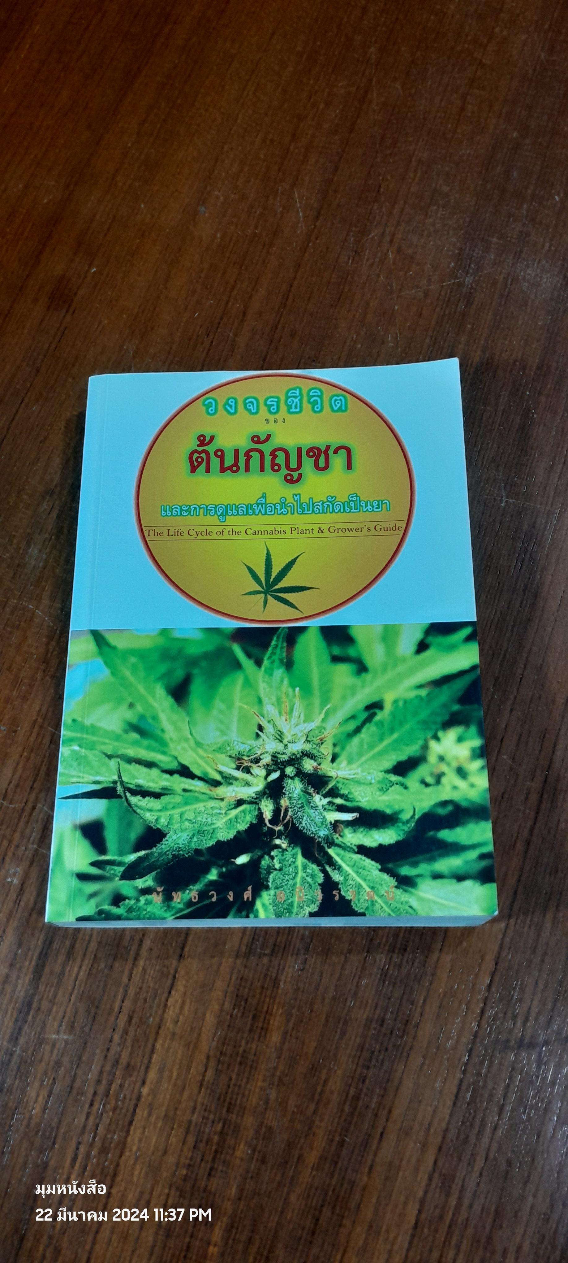วงจรชีวิตของต้นกัญชาและการดูแลเพื่อนำไปสกัดเป็นยา / นัทธวงศ์ อนิวรรตน์