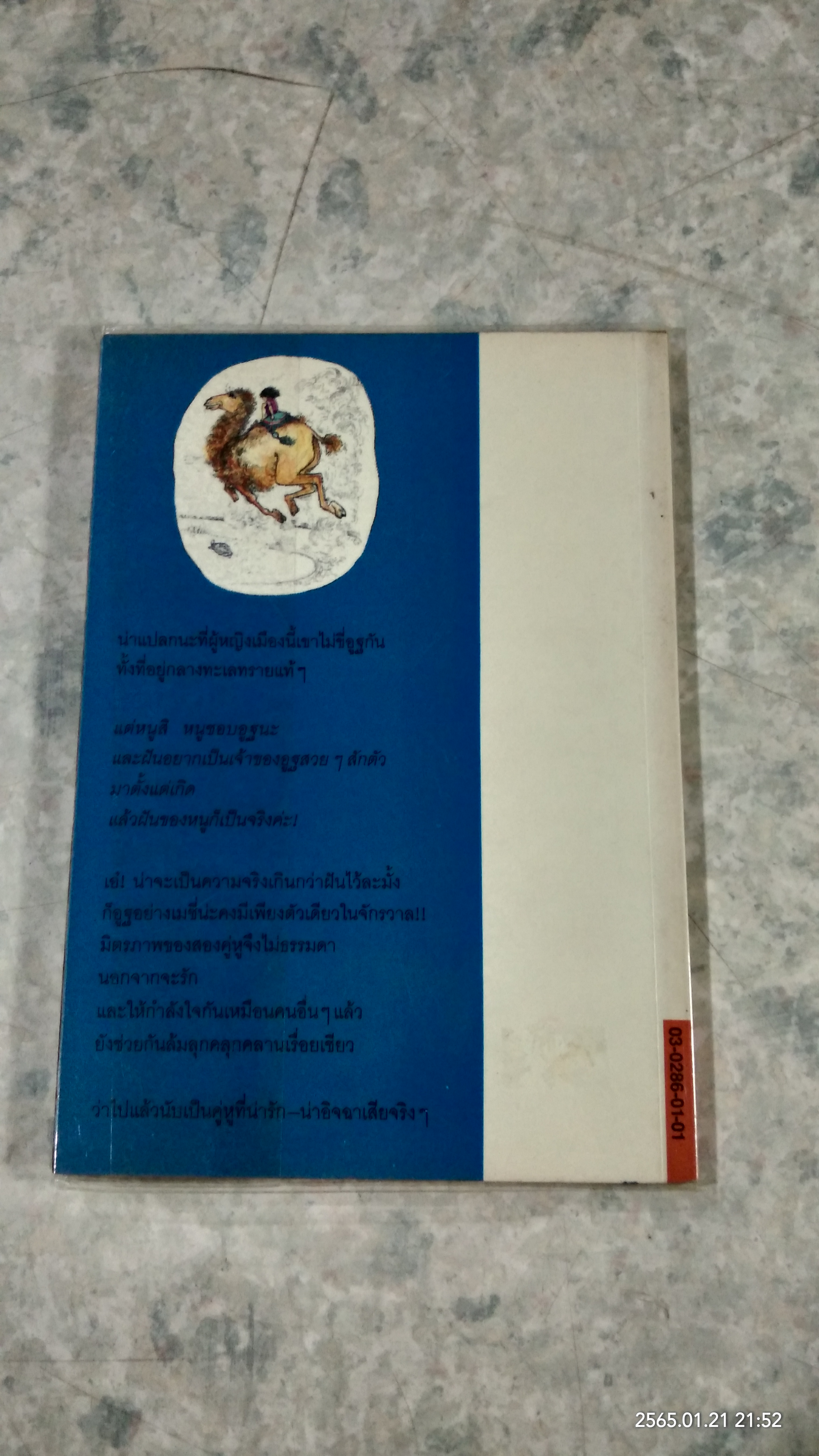 เมซี่...เพื่อนอูฐพูดได้ / แอนดรอ ลิงก์ลาเตอร์