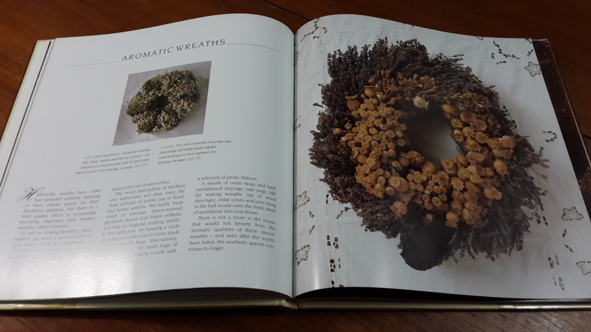 ENCHANTED CIRCLES : Elizabeth jane Lloyd