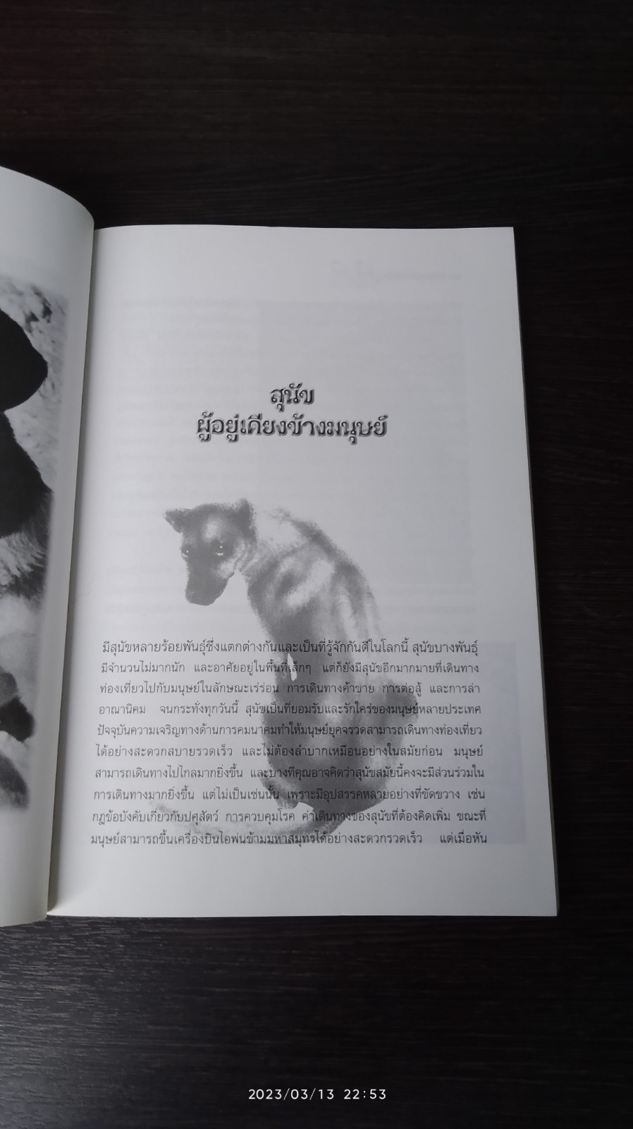 สุนัขวางใจใกล้ชิด / น.พ.ประพจน์ เภตรากาศ