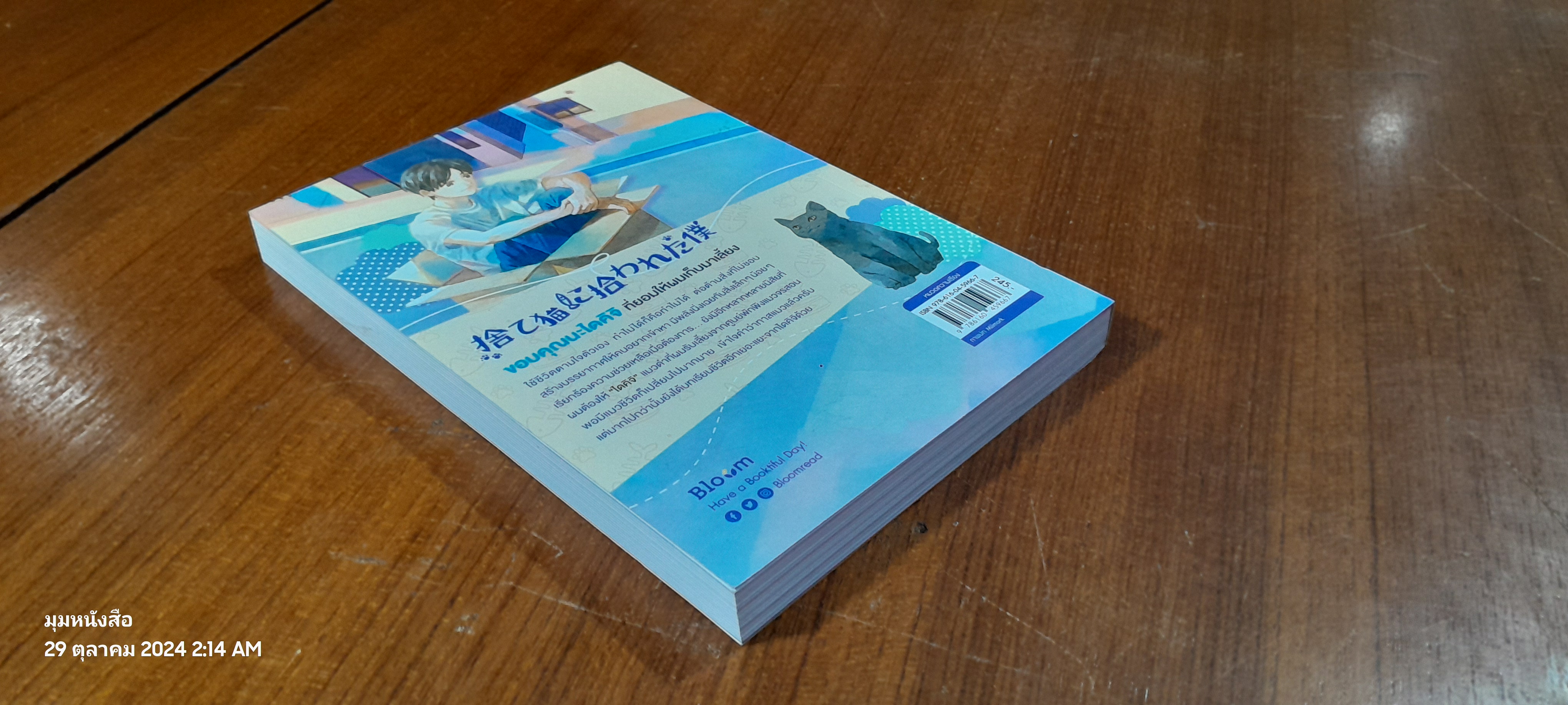 จริงๆแล้ว แมวจรต่างหากเก็บผมมาเลี้ยง / อุเมะดะ ซะโตชิ