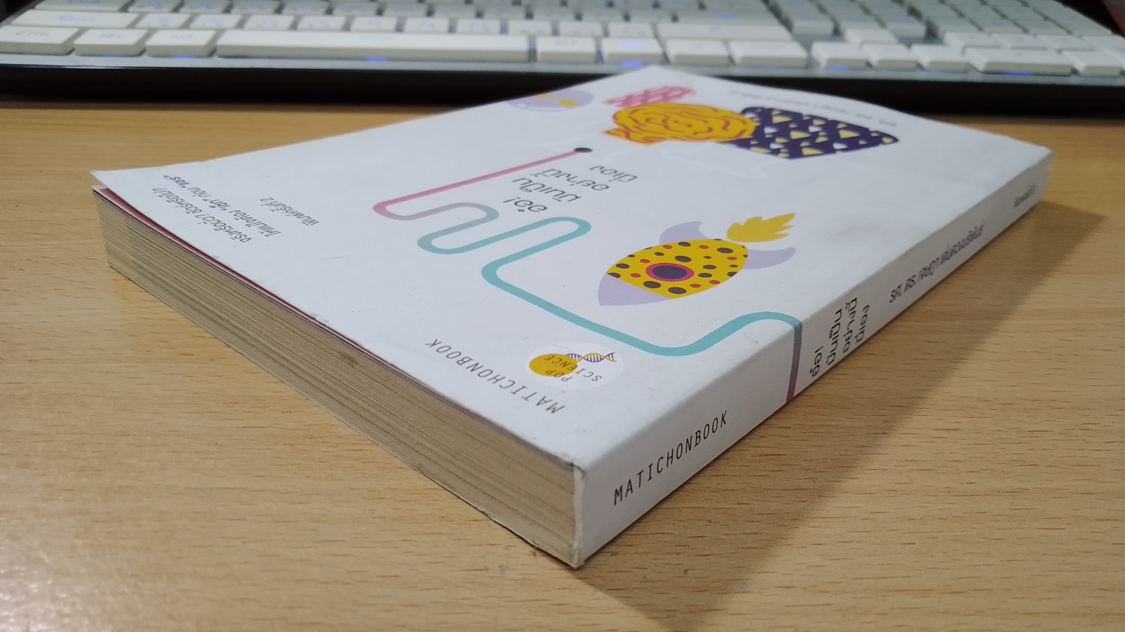 อ๋อ! มันเป็นอย่างนี้นี่เอง / รศ.ดร.เจษฎา เด่นดวงบริพันธ์