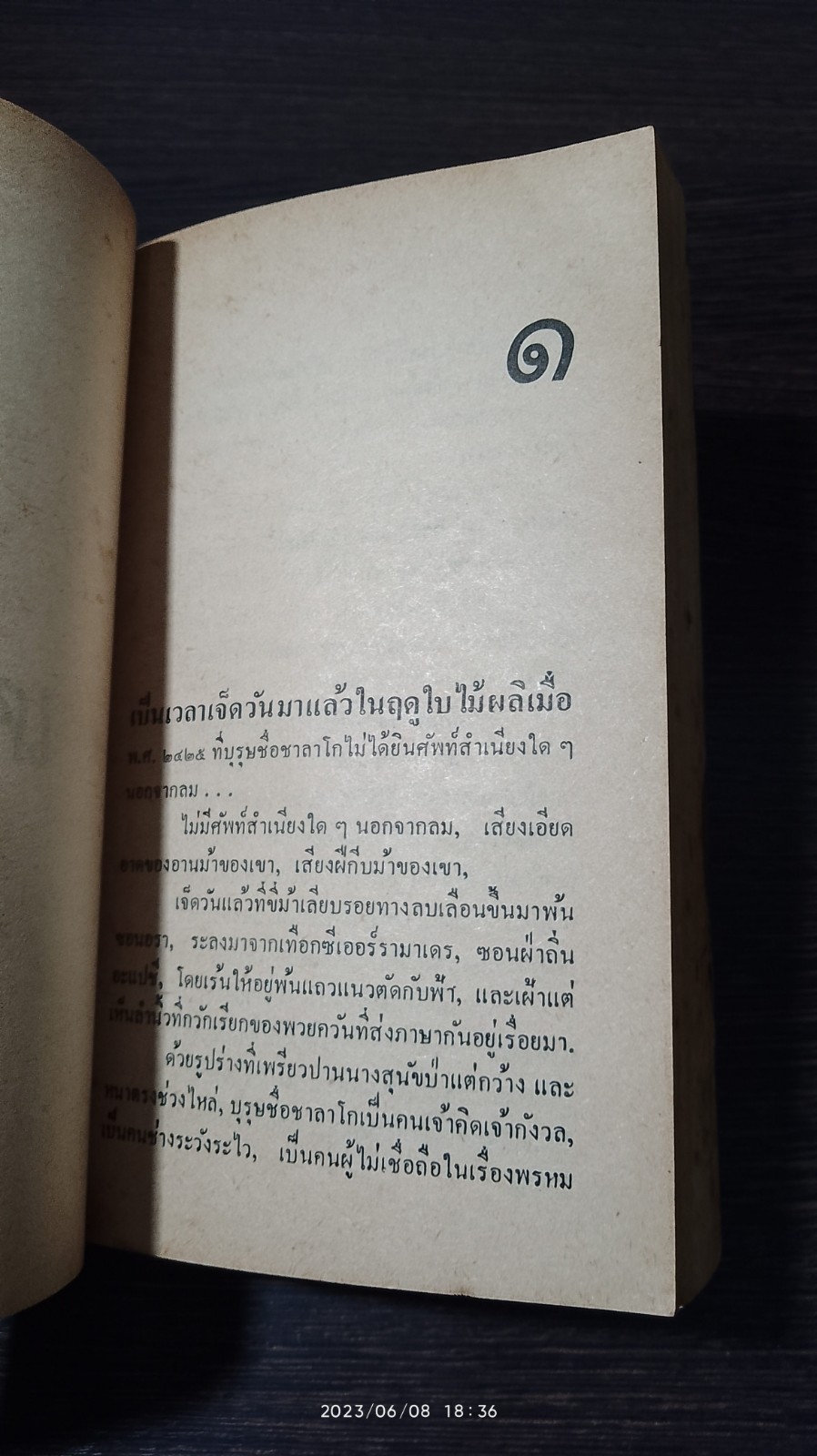 ชาลาโก / ลุยส์ ลามูร์