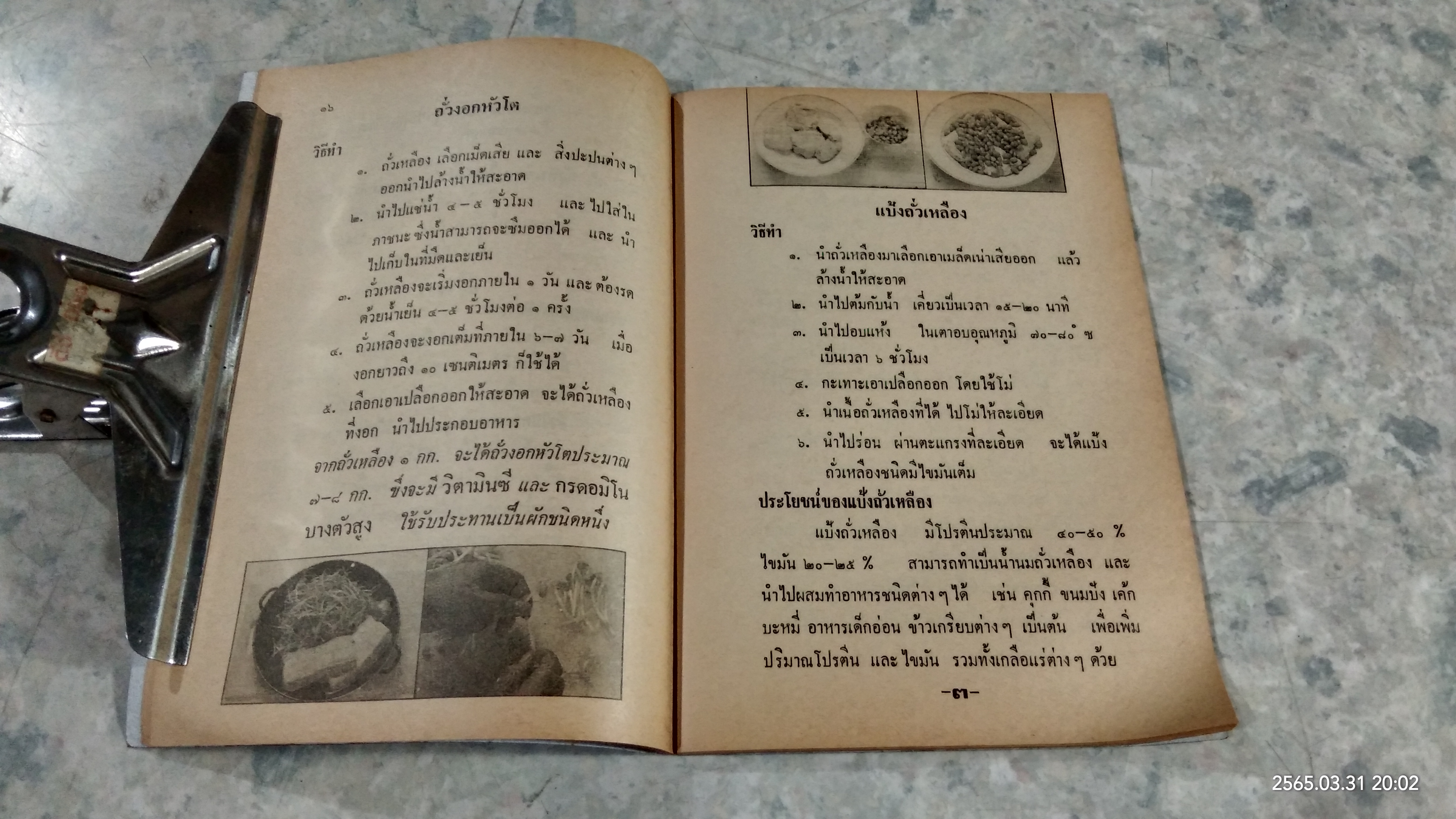 ถั่วเหลืองราชาโปรตีน