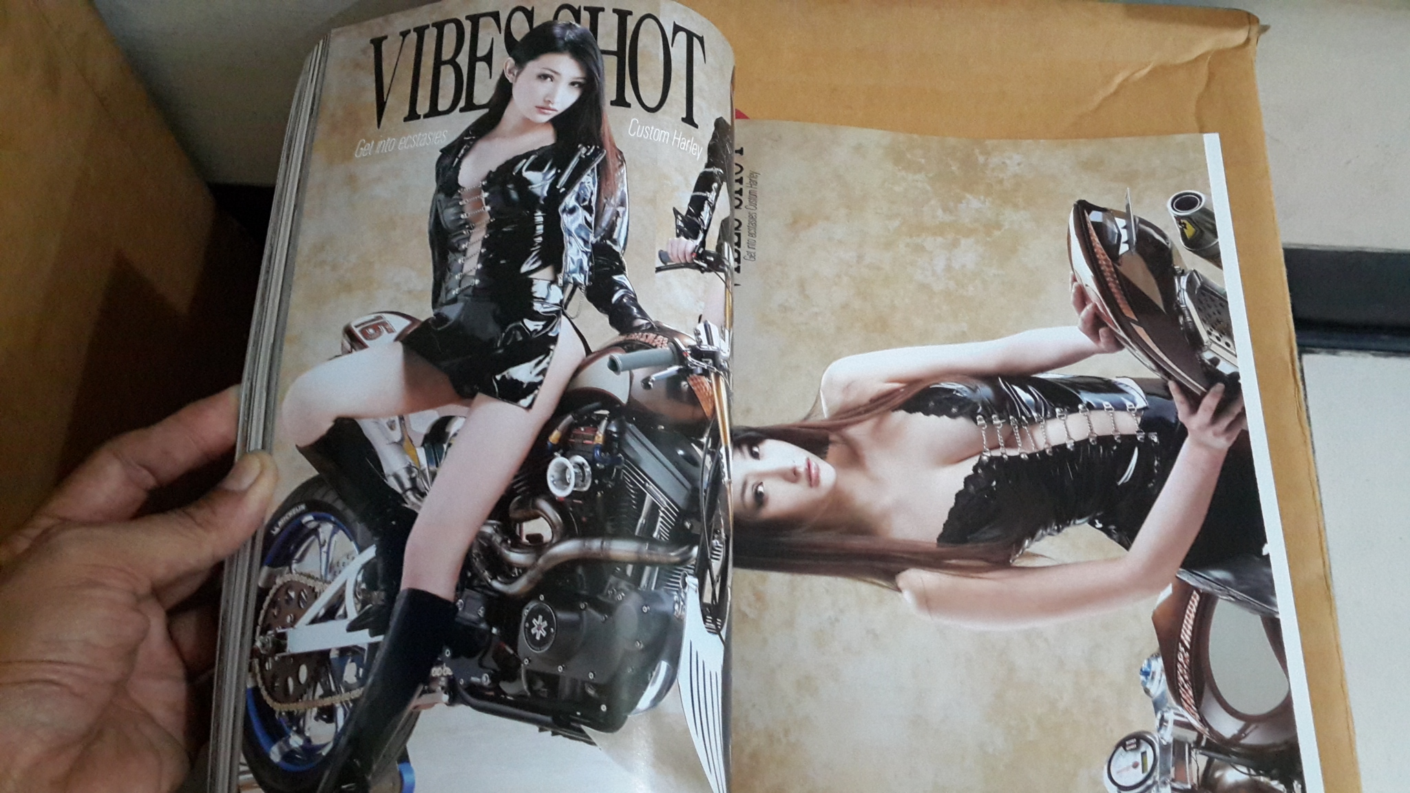 HARLEY-DAVIDSON LIFE MAGAZINE VIBES : 4 / 2012 April Vol.222 (ภาษาญี่ปุ่น)