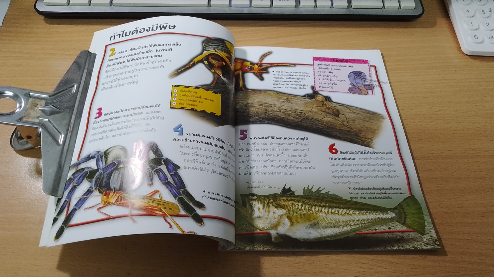 100 เรื่องน่ารู้เกี่ยวกับสัตว์มีพิษ